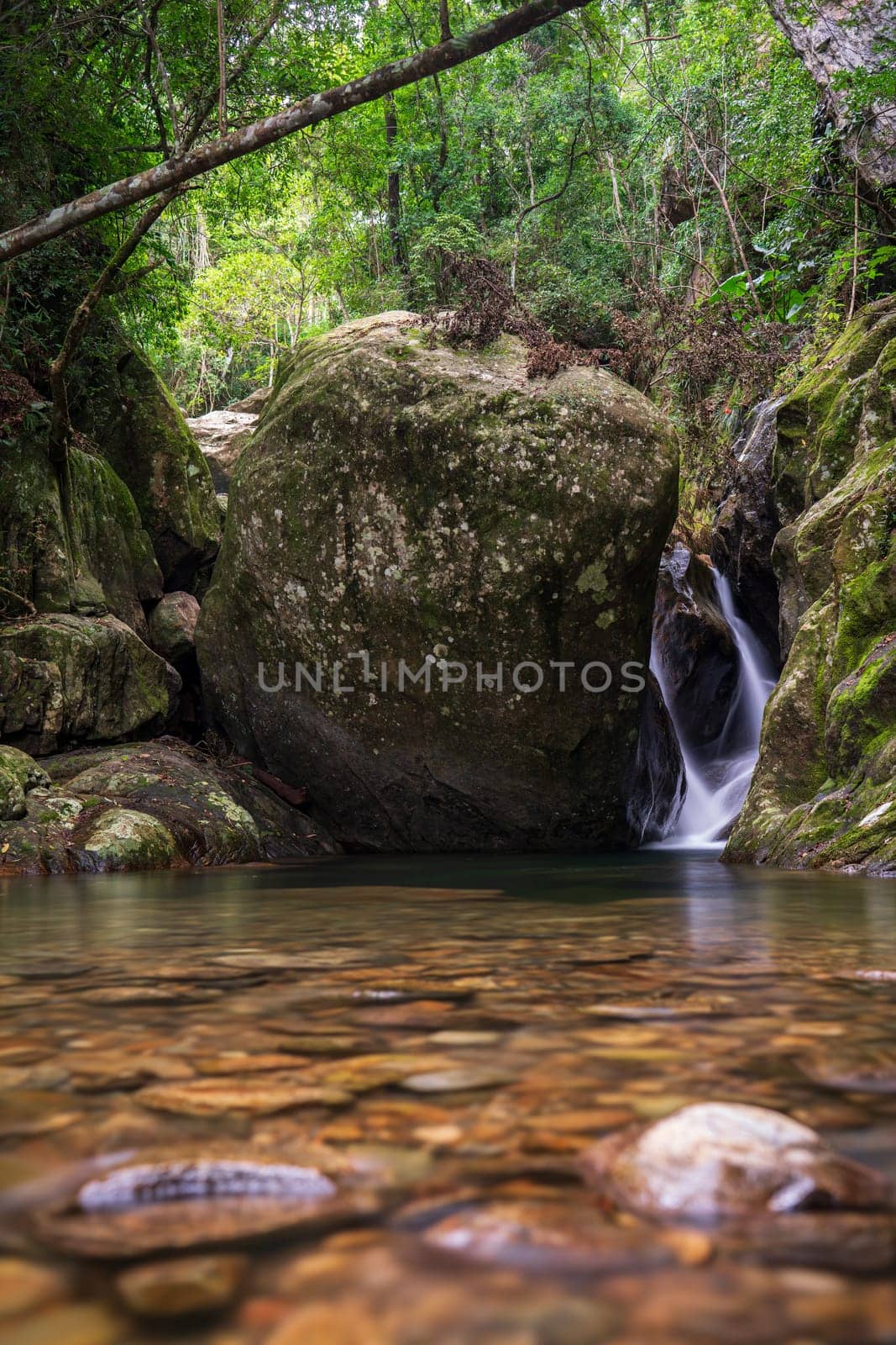 Escena serena de la selva con arroyo y enorme roca redondeada. by FerradalFCG