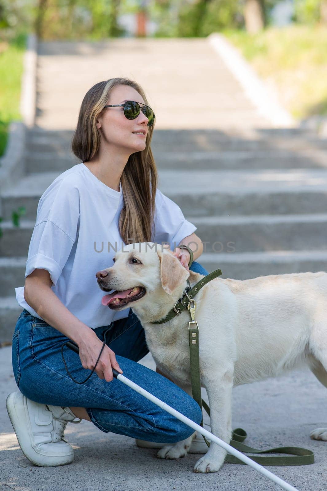 Blind young blonde petting a guide dog on a walk in the park. Woman with tactile cane at the stairs