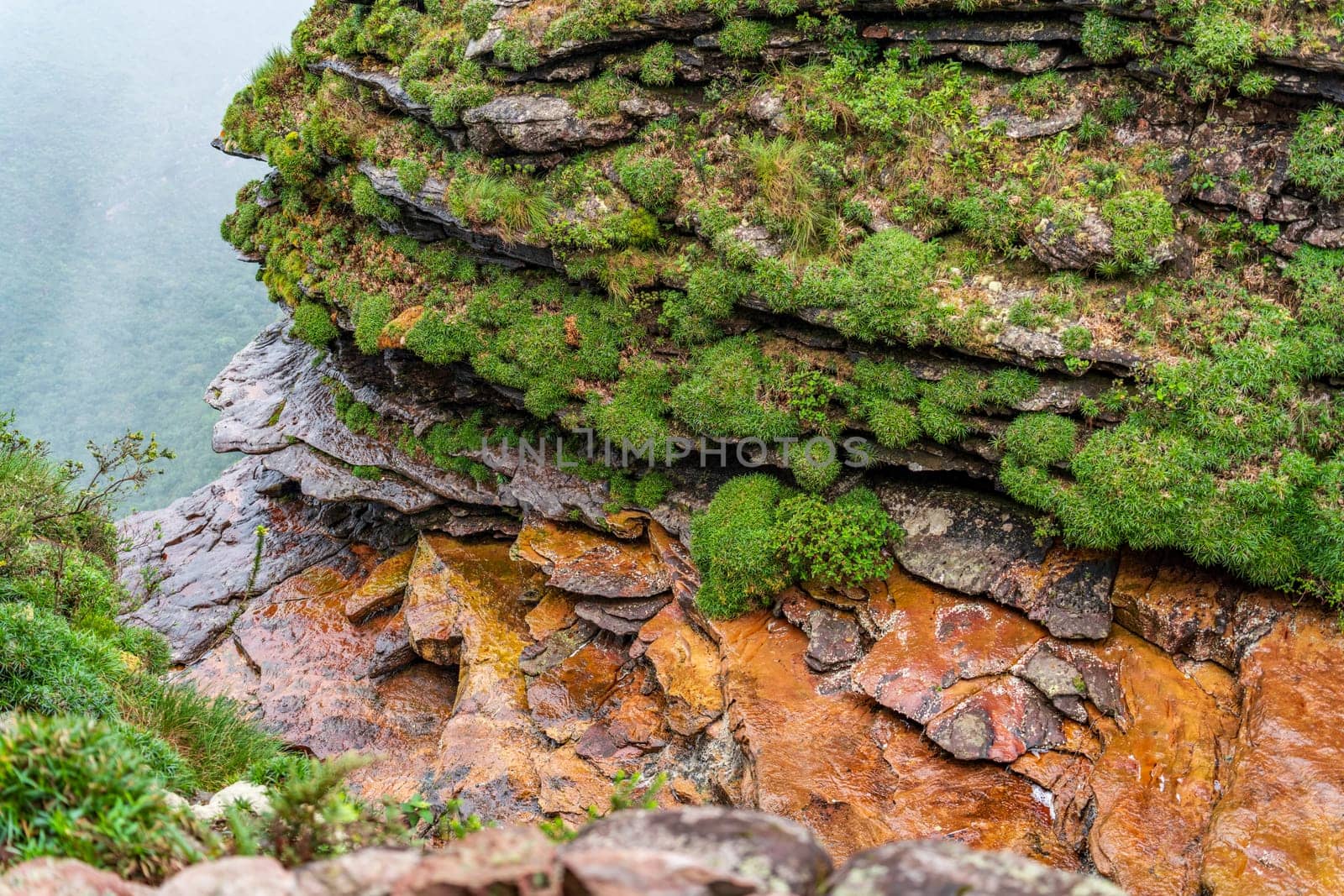 Overgrown Green Moss on Layered Rocks at Cliff s Edge by FerradalFCG