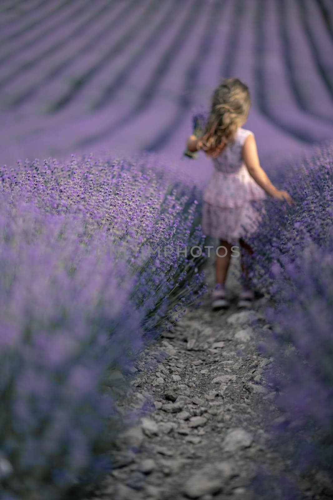 Lavender field girl. Back view happy girl in pink dress with flowing hair runs through a lilac field of lavender. Aromatherapy travel by Matiunina