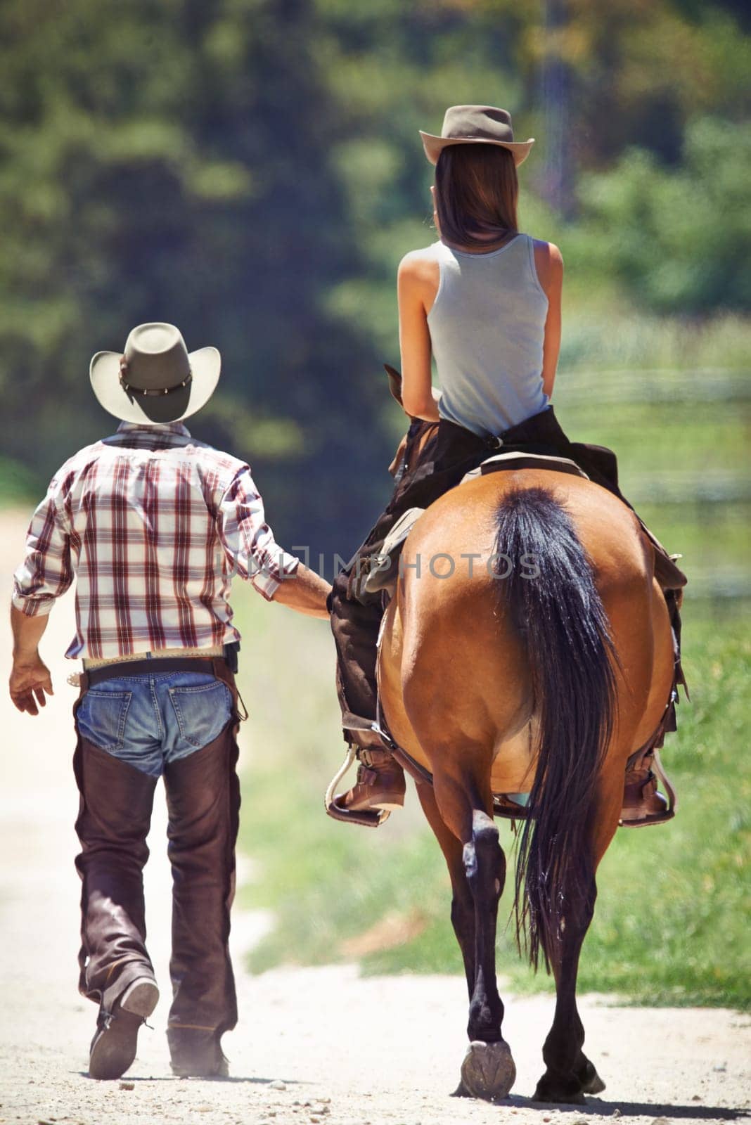 Back of woman, cowboy or horse riding on countryside farm as equestrian for training, sport or learning. Walking, teaching or people in Texas, outdoor environment or stable for practice on saddle.