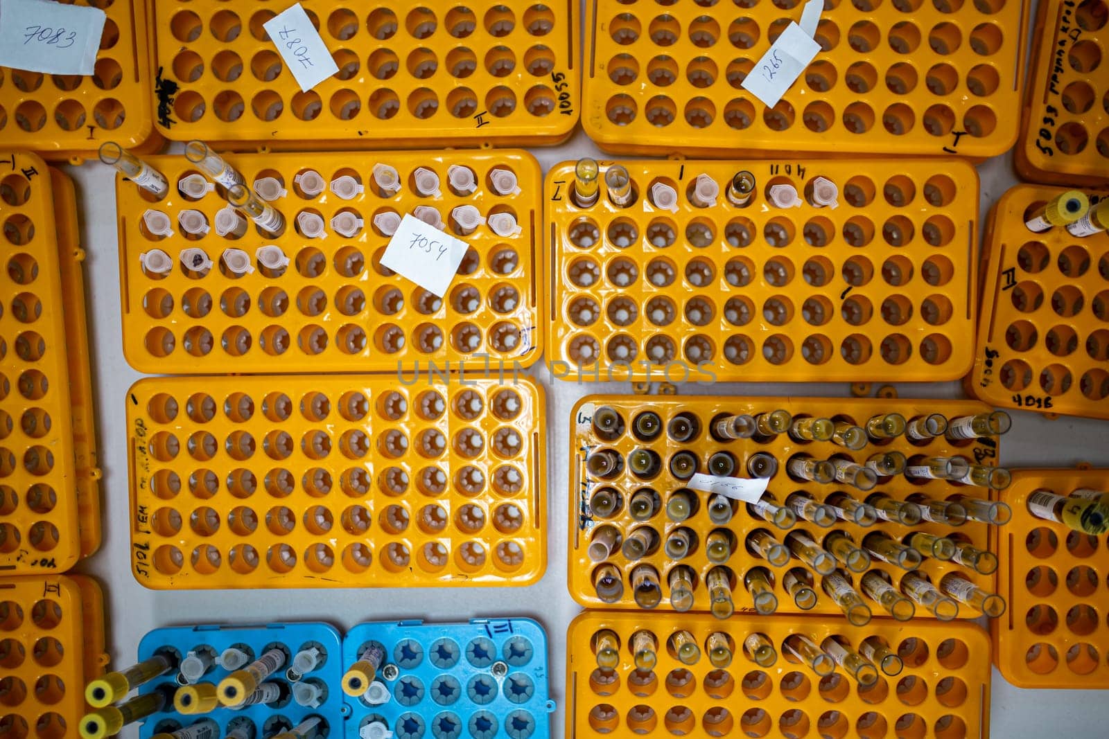 laboratory flasks with analyses in an orange stand.