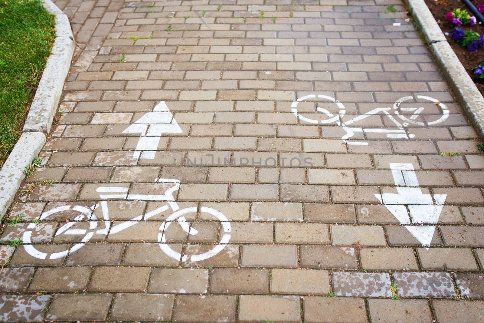 A brick walkway adorned with bicycles and arrows painted on the surface, creating a charming and unique path for pedestrians to enjoy