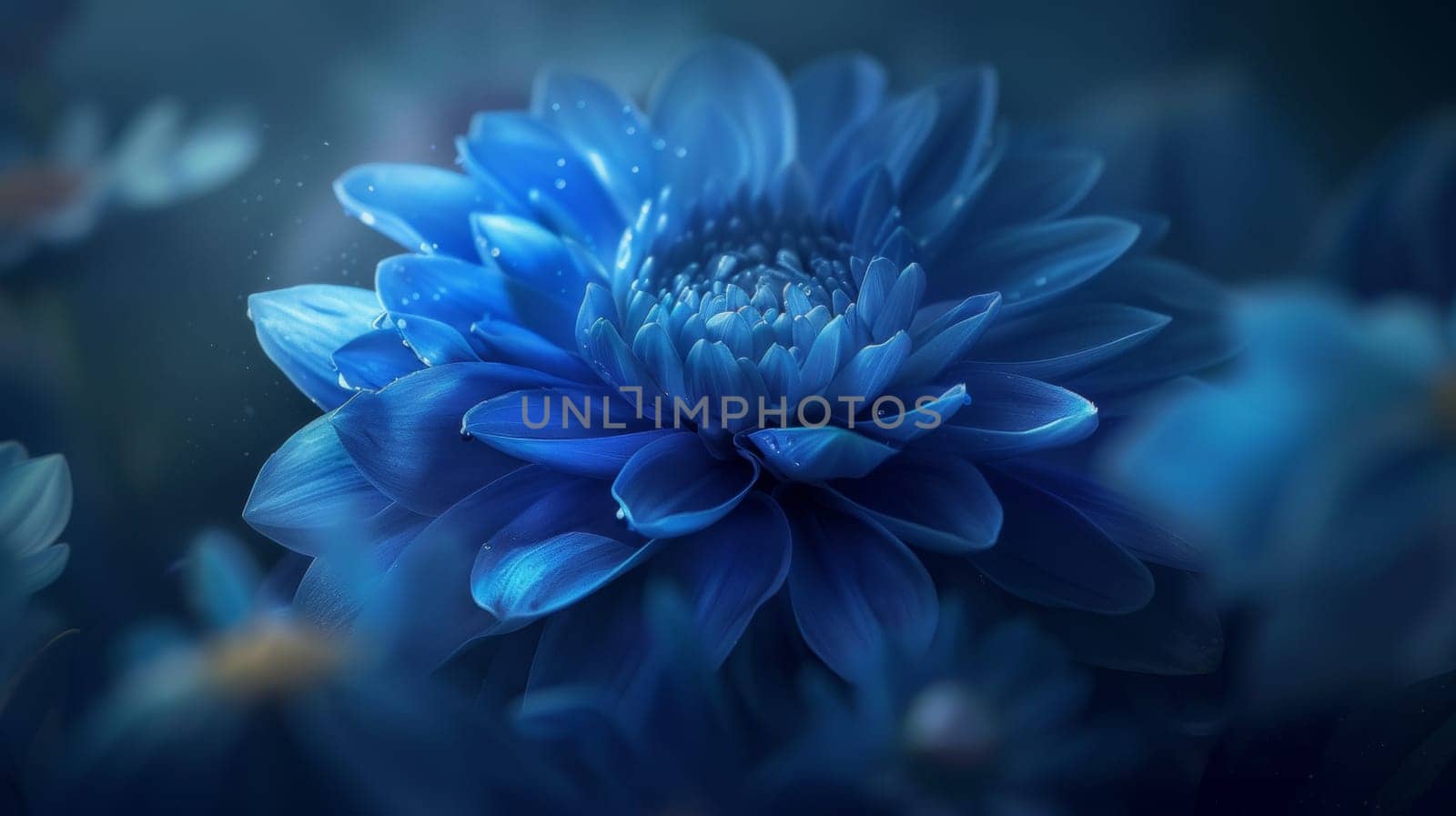 A close up of a blue flower with water droplets on it