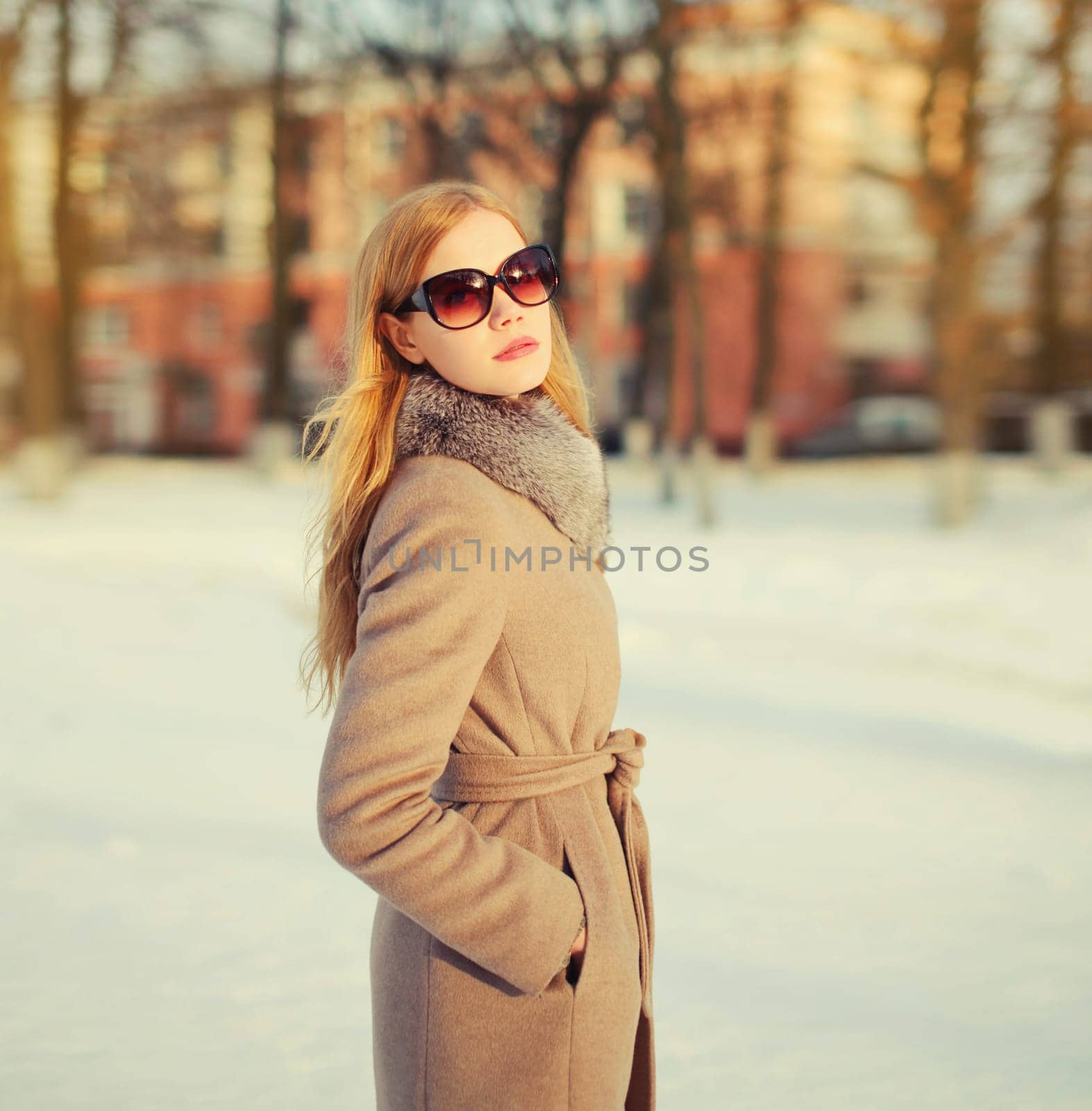 Portrait of beautiful blonde young woman posing in sunglasses, winter coat outdoors in park