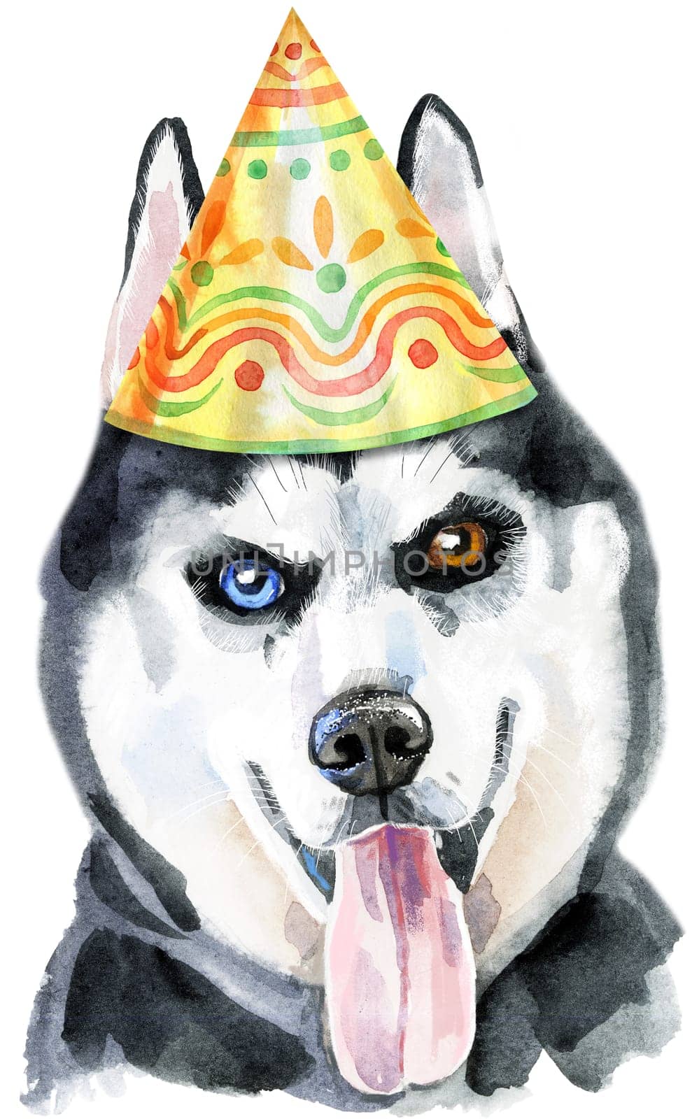 Cute Dog in party hat. Dog T-shirt graphics. watercolor husky