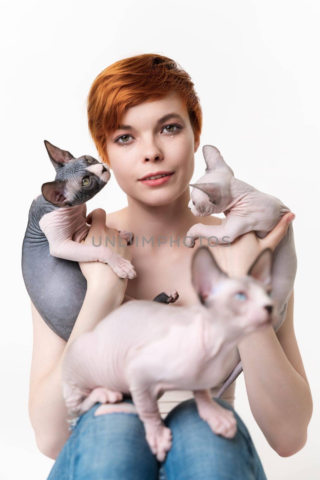 Redhead young woman looking at camera, holding two Sphynx Cat in hands and one kitten sitting on her legs. Cute woman with short hair in T-shirt and jeans sitting on white background. Part of series