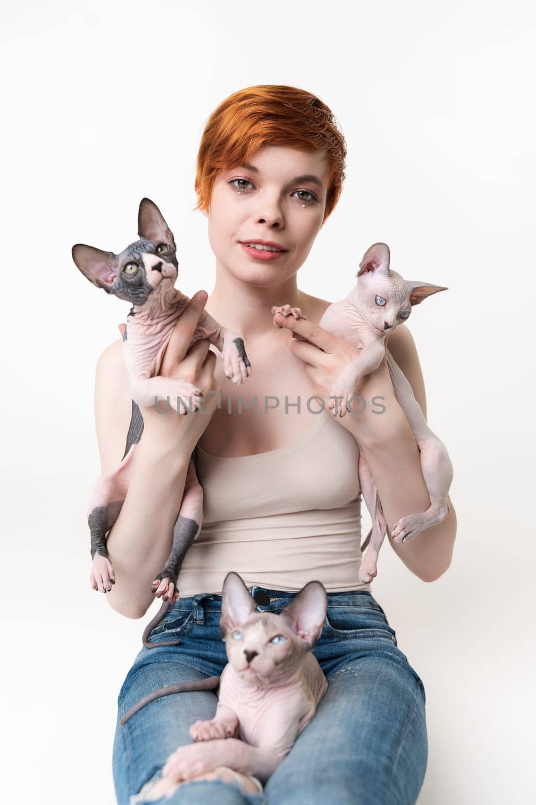 Redhead young woman holding two Sphynx Cat in hands and one kitten lying on her legs. Pretty woman with short hair in T-shirt and jeans looking camera, lying down on white background. Part of series