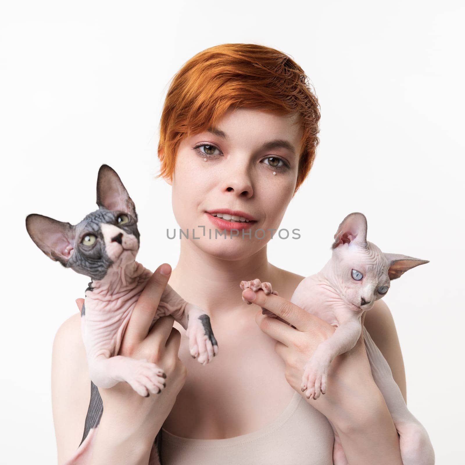 Redhead young woman looking at camera, hugging two Sphynx Cat in hands on white background by Alexander-Piragis