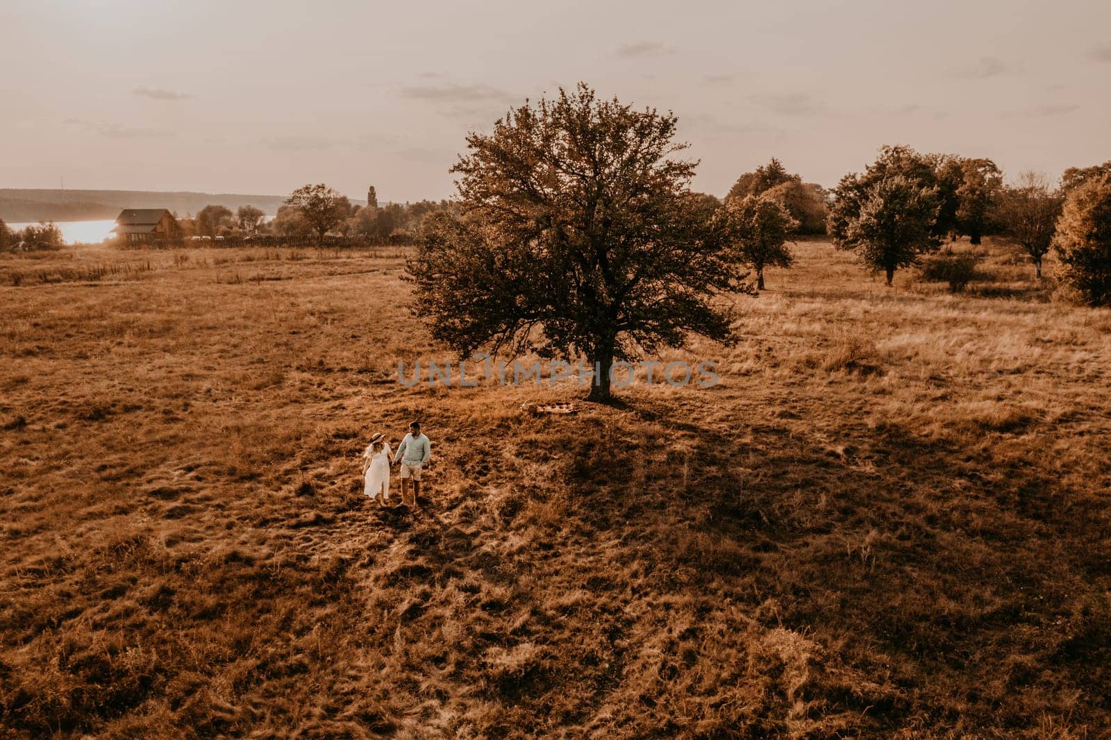 Happy family loving couple pregnant woman in white cotton dress walks with husband in meadow in summer. man in light natural clothes and shorts holds hand wife. trees in sunbeams. aerial drone view