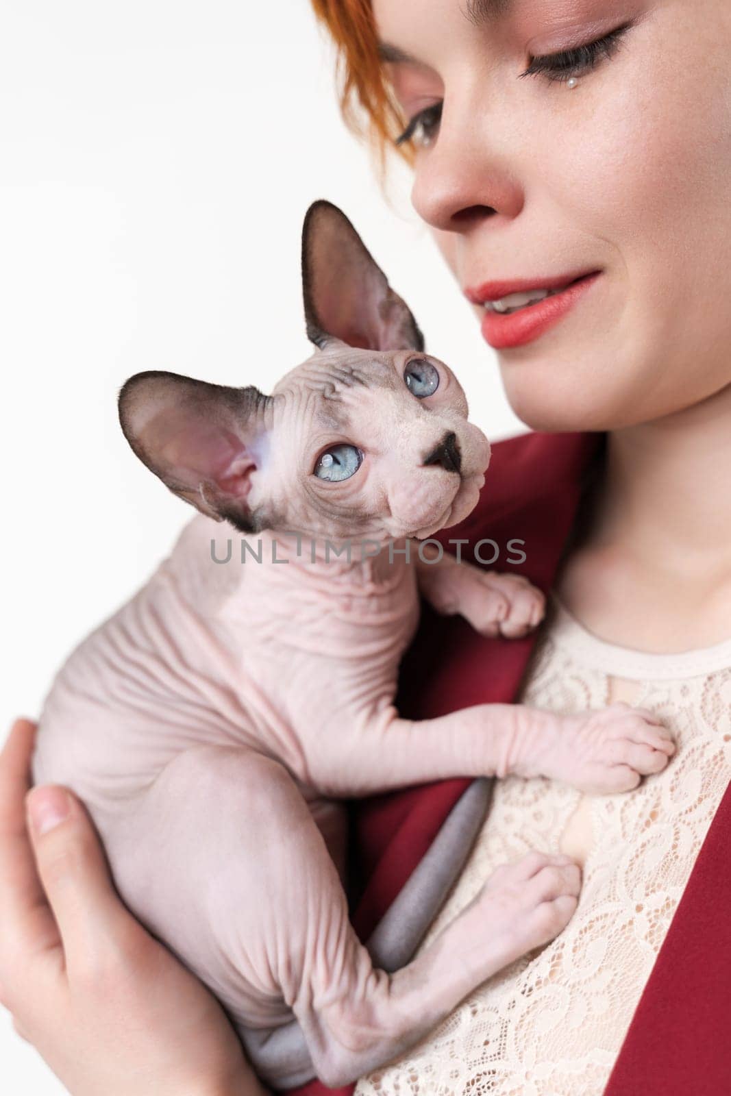 Hipster young redhead woman gently hugging Sphynx Cat. Selective focus on domestic kitten, shallow depth of field. Pretty woman dressed in red jacket. Part of series. Studio shot on white background.