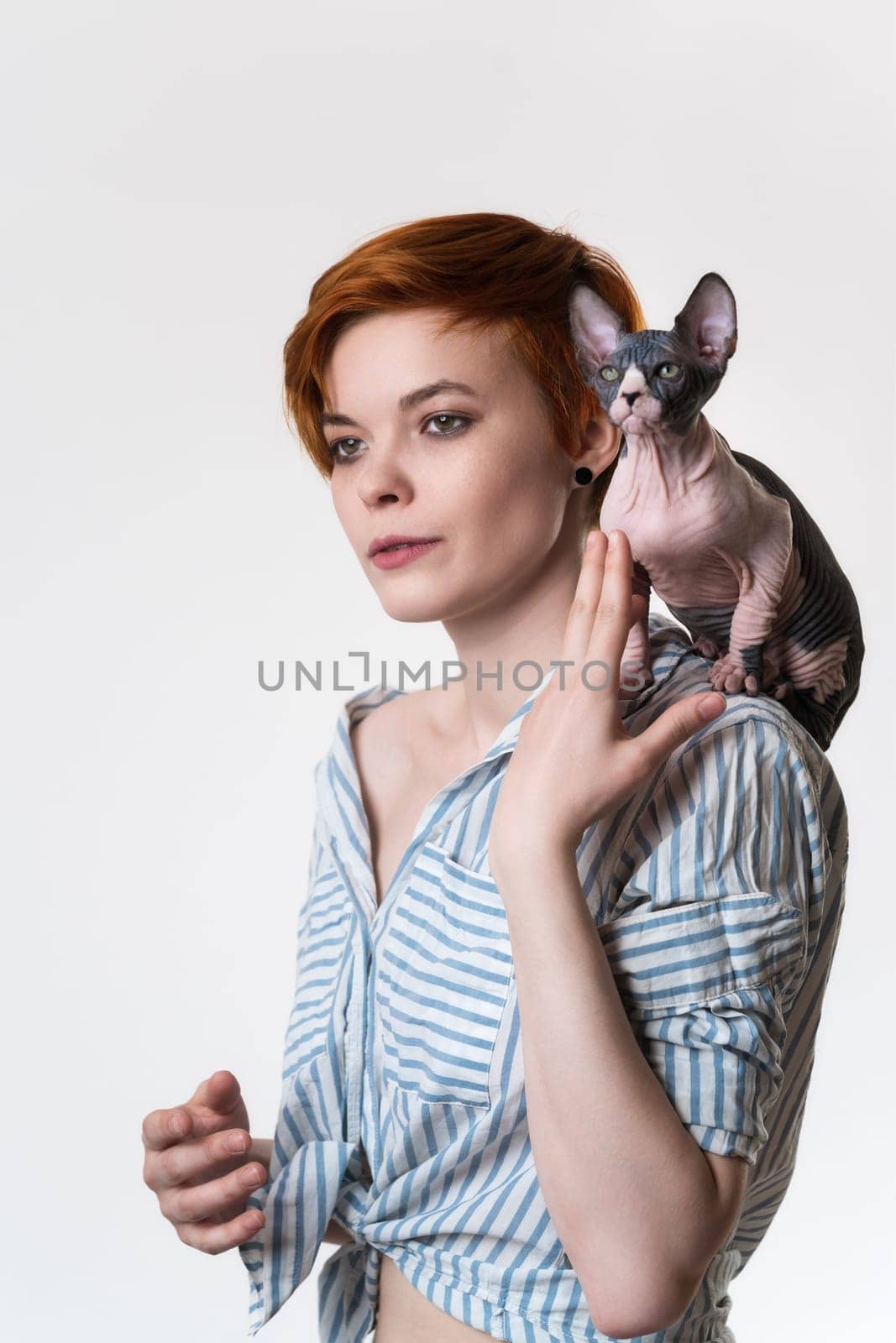 Sphynx Hairless Cat sitting on shoulder of redhead young woman. Hipster female with short hair dressed in striped white-blue shirt. Studio shot on white background. Part of series. Selective focus