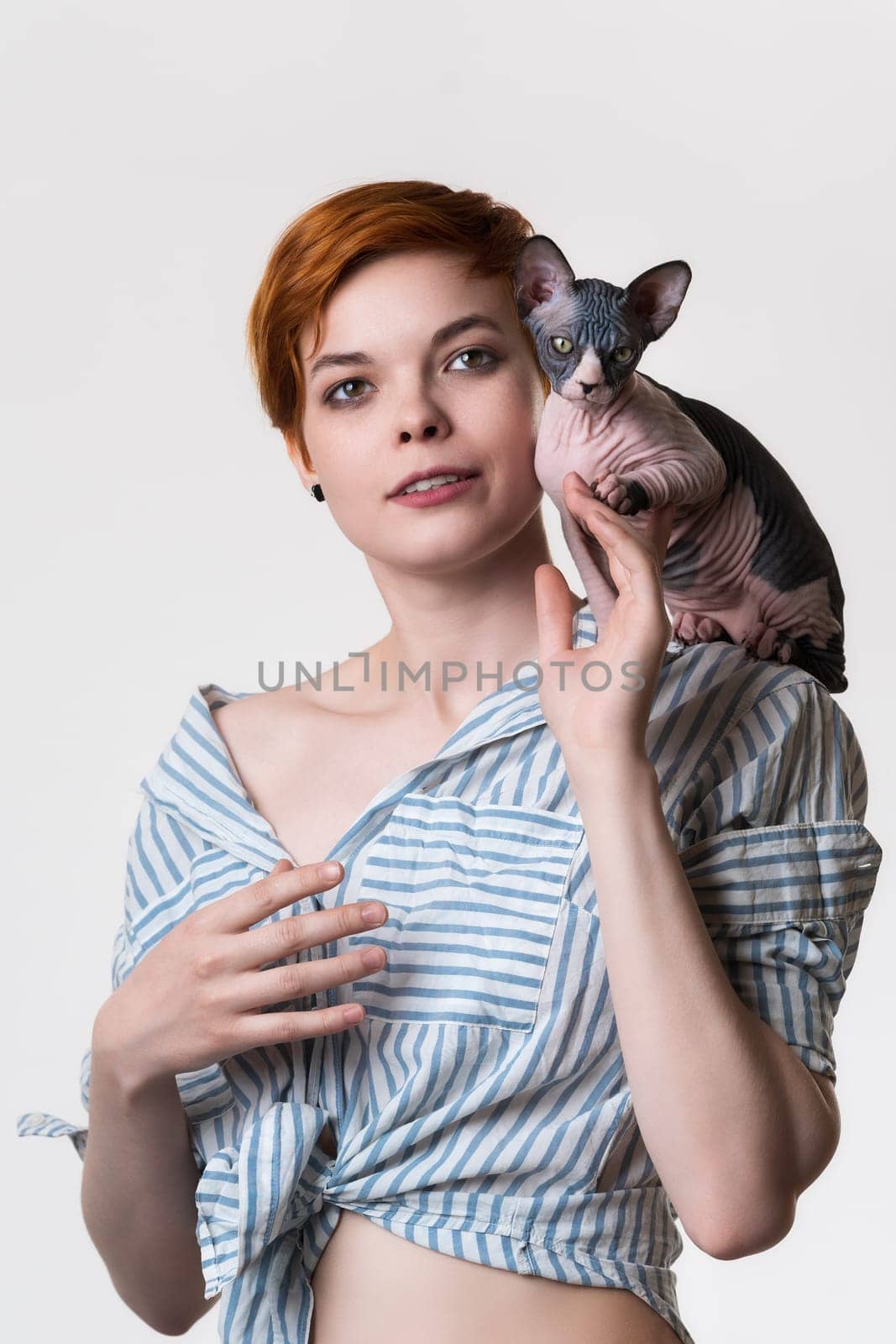 Sphynx kitten sitting on shoulder of beautiful redhead young woman 25 years old. Portrait of female with short hair dressed in striped white-blue shirt. Studio shot on white background. Part of series