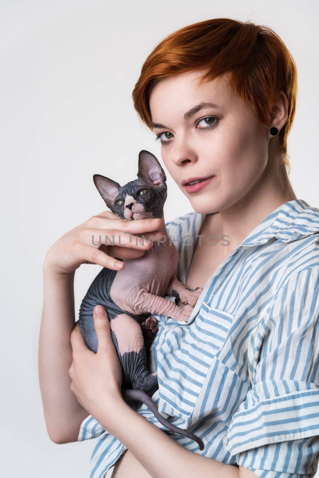 Portrait of redhead young woman holding Sphynx Cat in hands and looking at camera. Hipster female with short hair dressed in striped white-blue shirt. Studio shot on white background. Part of series.