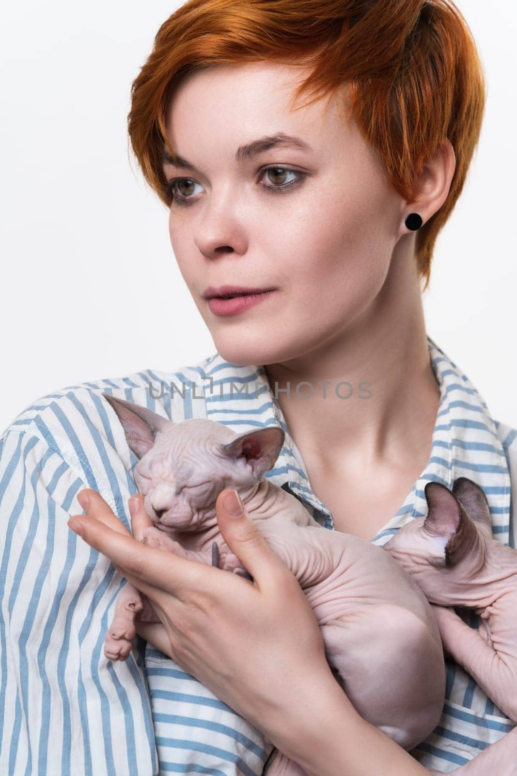 Beautiful redhead young woman hugging Sphynx Cat and looking away. Studio shot on white background. Portrait of hipster with short hair dressed in striped white-blue casual shirt. Part of series.