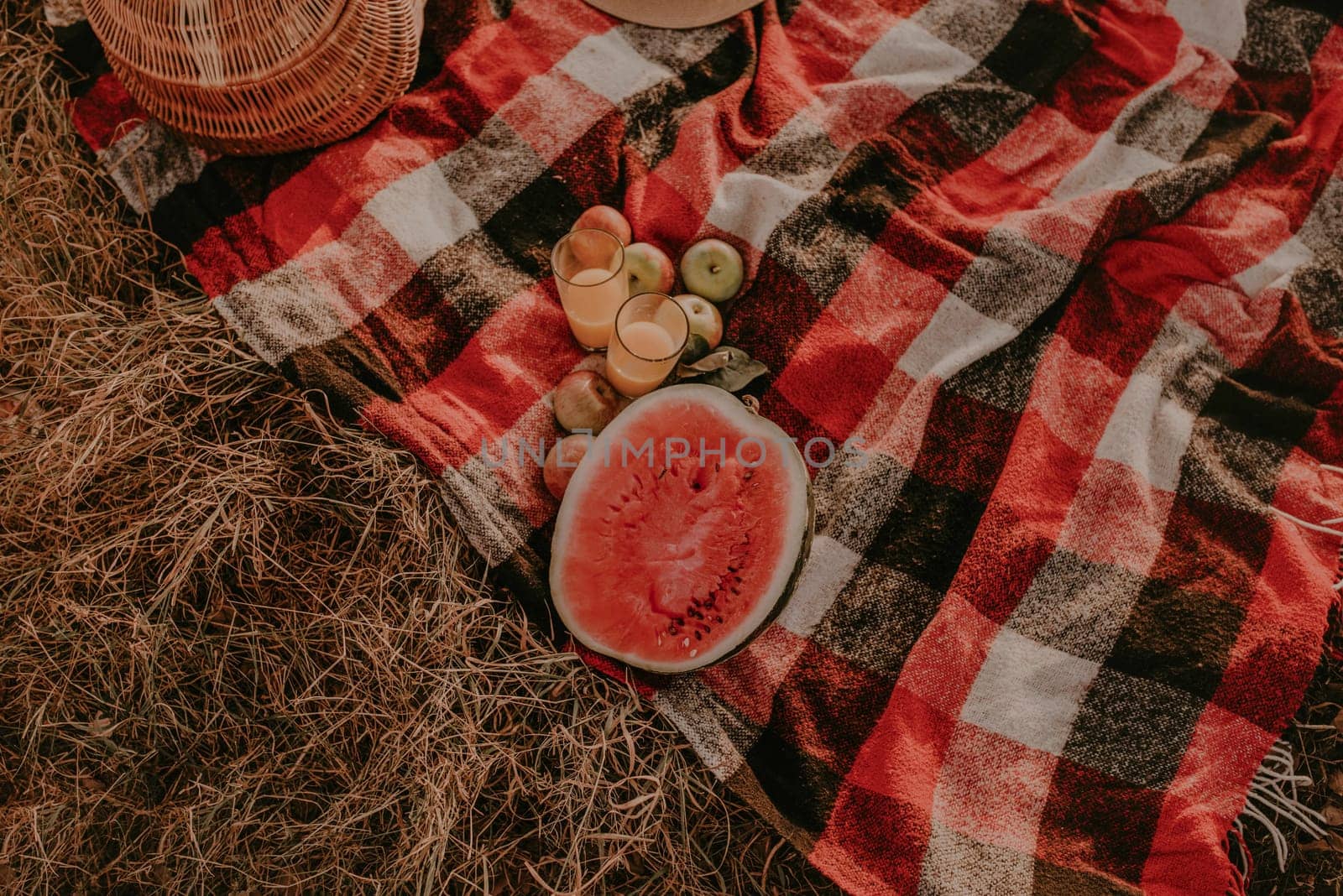 Travel blanket checkered red plaid on grass in summer on sunny day for picnic. wicker basket, scattered fruits, ripe apples, juicy cut watermelon seeds, straw hat. Camping, holiday, rest at nature