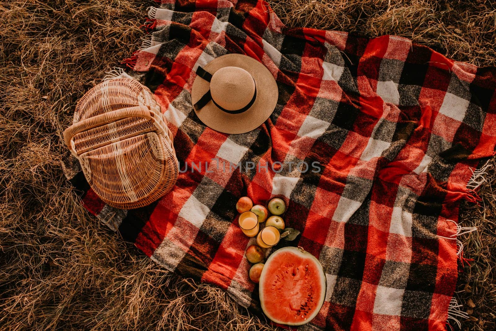 Travel blanket checkered red plaid on grass in summer on sunny day for picnic. wicker basket, scattered fruits, ripe apples, juicy cut watermelon seeds, straw hat. Camping, holiday, rest at nature