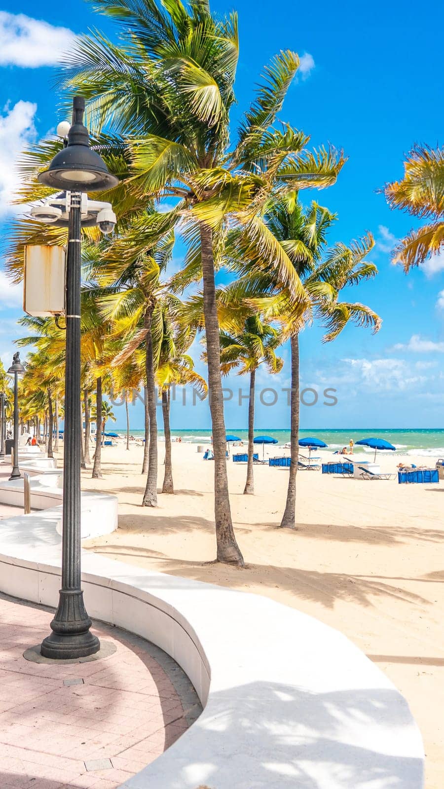 Seafront beach promenade with palm trees on a sunny day in Fort Lauderdale by Mariakray