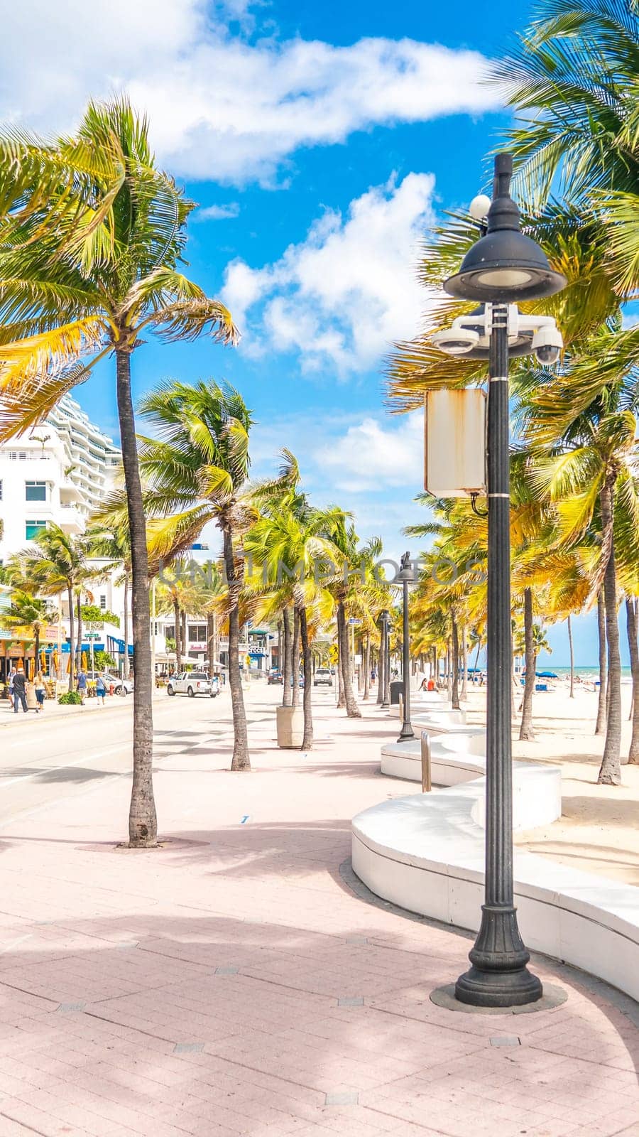 Seafront beach promenade with palm trees on a sunny day in Fort Lauderdale by Mariakray