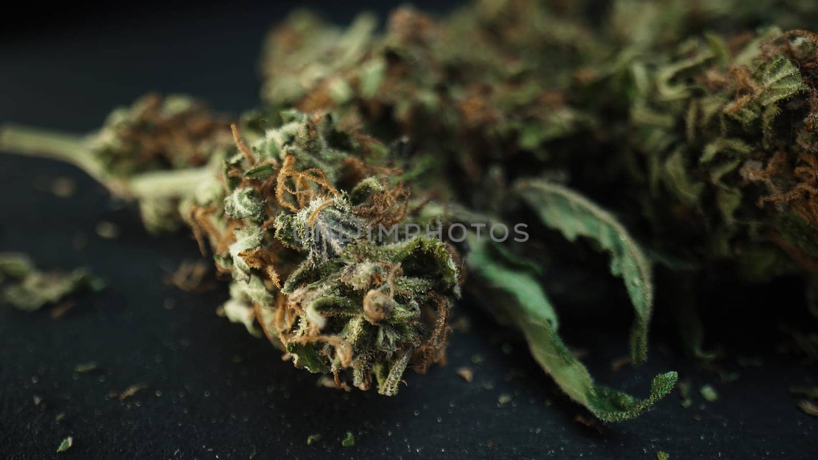 Marijuana buds in macro. Legal medical cannabis, smoking weed activities, ganja by kristina_kokhanova