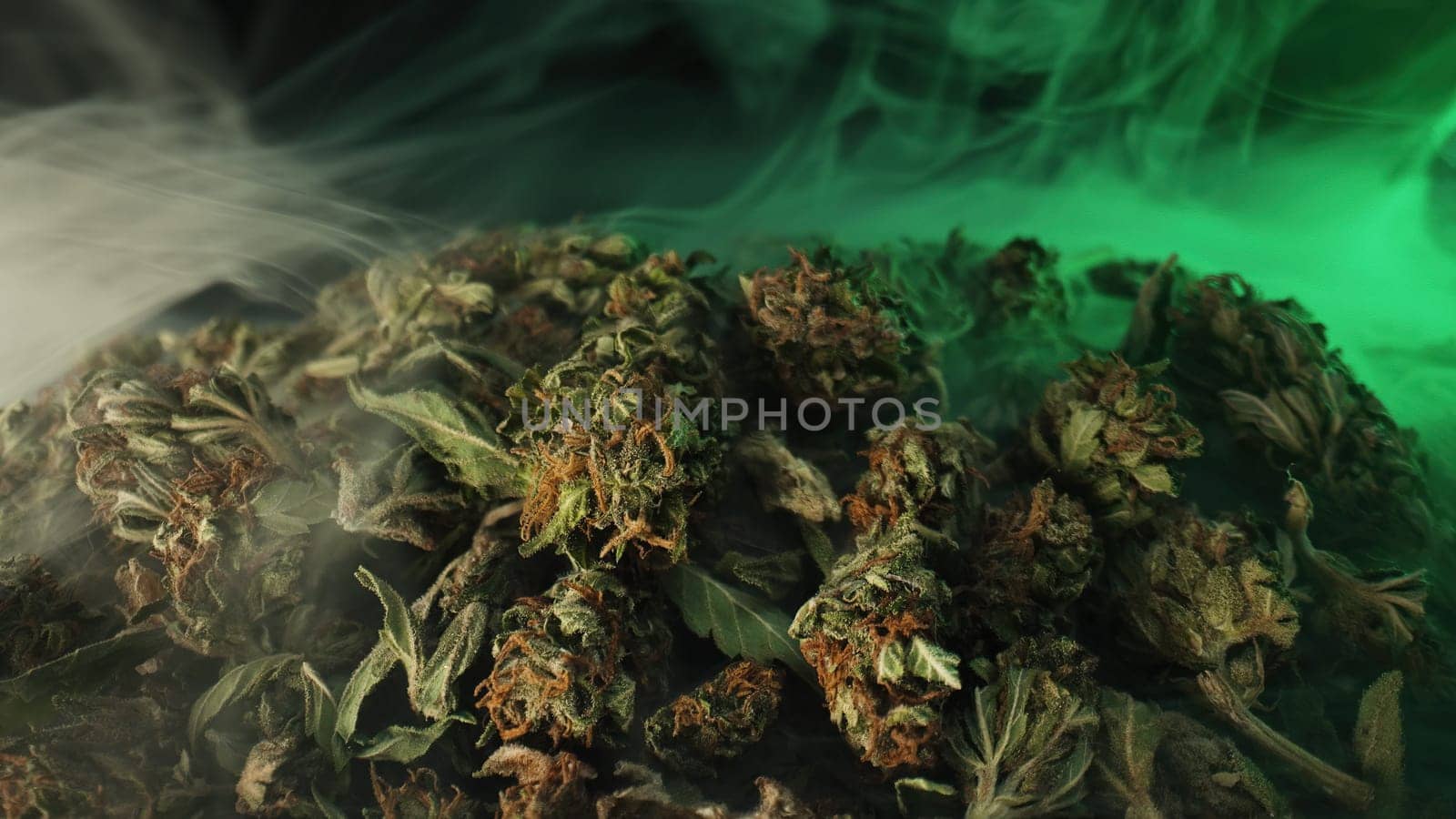 Marijuana buds in macro. Legal medical cannabis, smoking weed activities, recreational drug. Harvest, beautiful hemp, making ganja