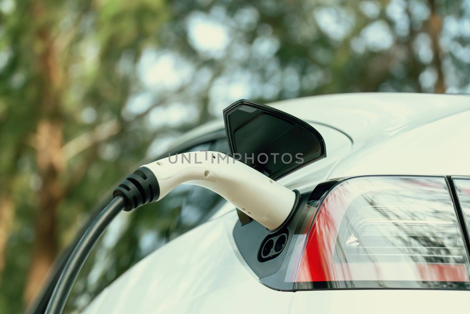 Closeup EV charger handle plugged in or connect to electric car, recharging EV car battery with alternative and sustainable energy with zero CO2 emission for clean environment. Perpetual