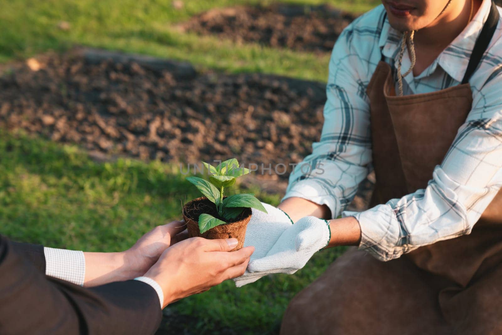 Eco-business company empower farmer with eco-friendly farming practice and clean agricultural technology. Cultivate sustainable future nurturing plants to grow and thrive. Gyre