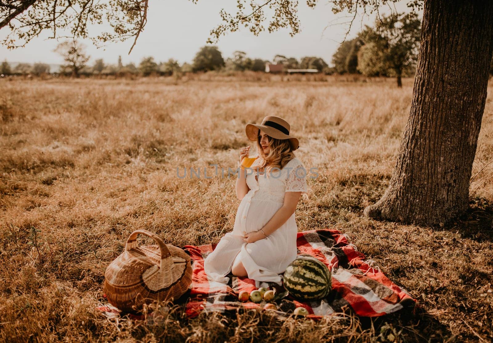 happy European caucasian pregnant woman relaxing in nature picnic looking at camera. expectant mother in hat and dress hold hand on belly. face with moles