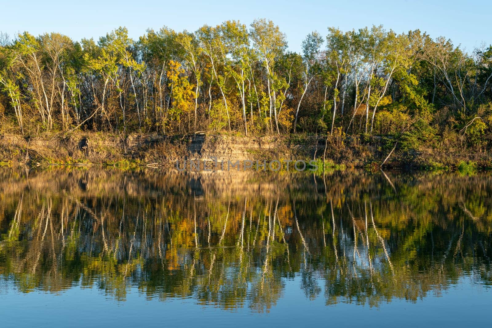 reflection of autumn trees in the water by roman112007