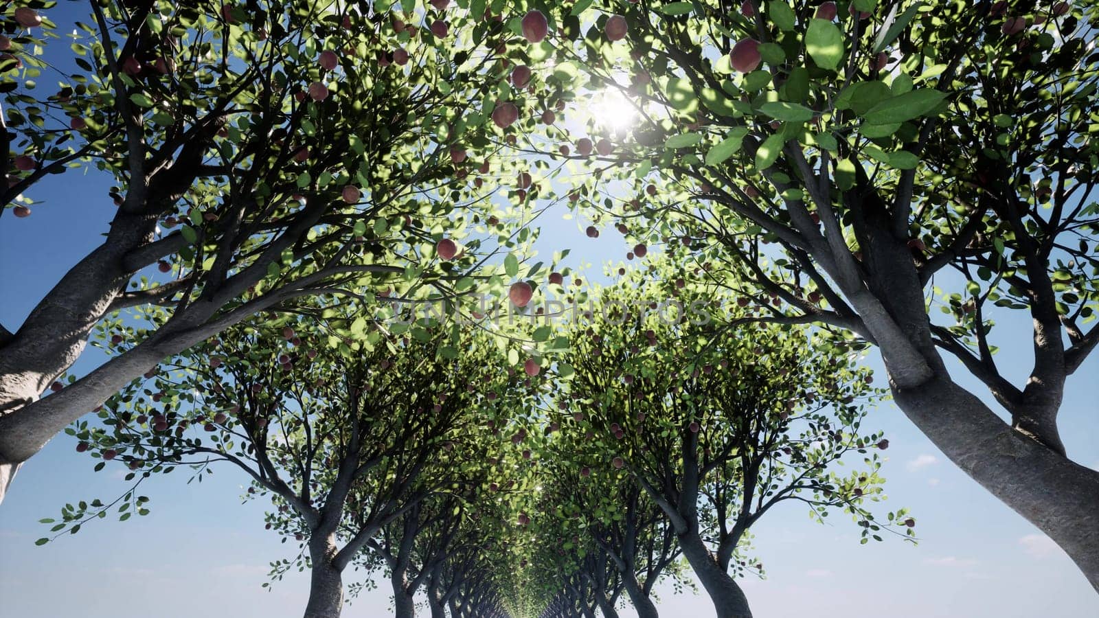 Alley of apple trees sunny weather 3d render