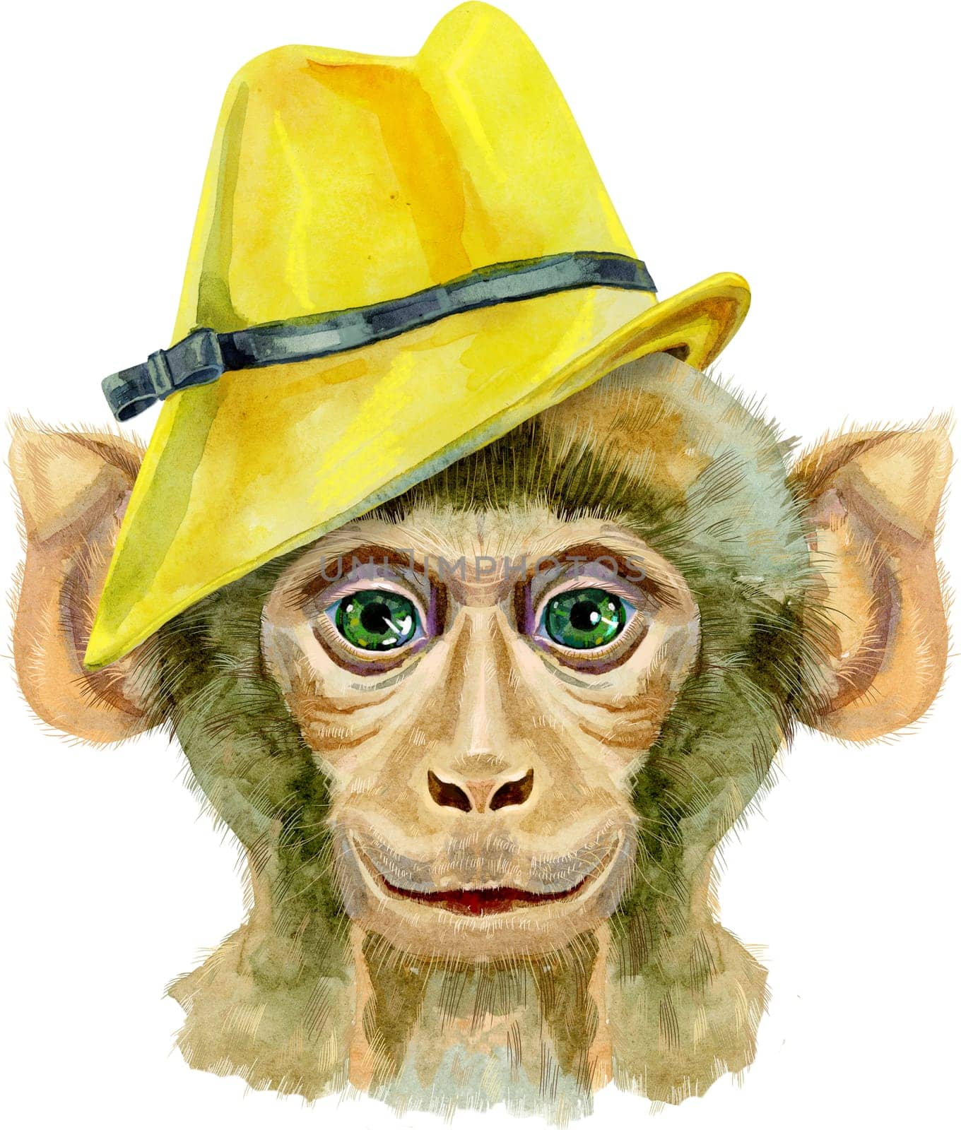 Monkey head yellow hat isolated on white background. Monkey watercolor illustration