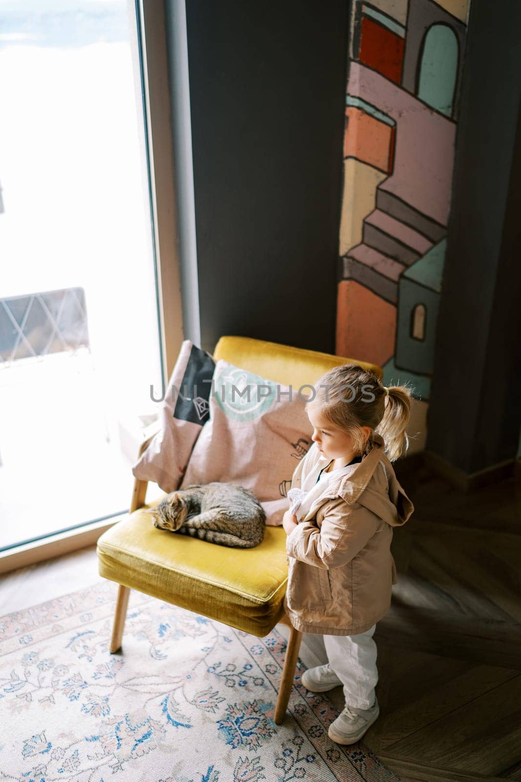 Little girl stands near a chair with a sleeping tabby cat and looks away. High quality photo