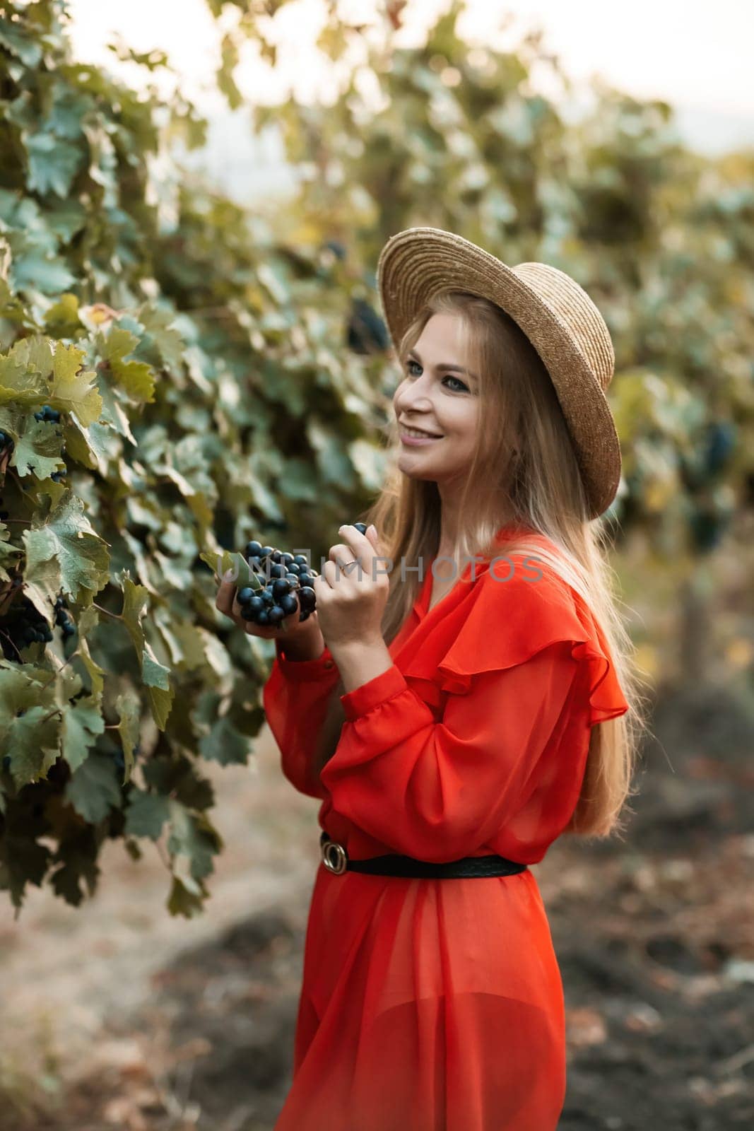 portrait of a happy woman in the summer vineyards at sunset. woman in a hat and smiling. by Matiunina