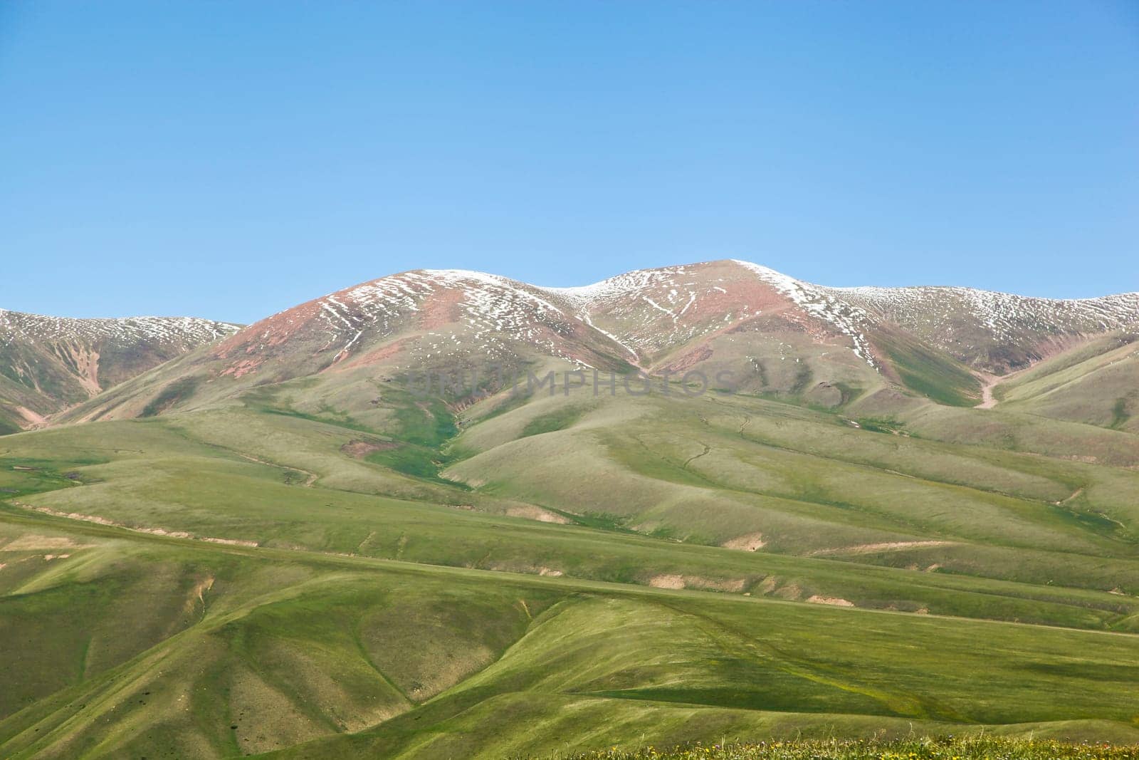 A hiking paradise in Alpine meadow zone in mountains at summer