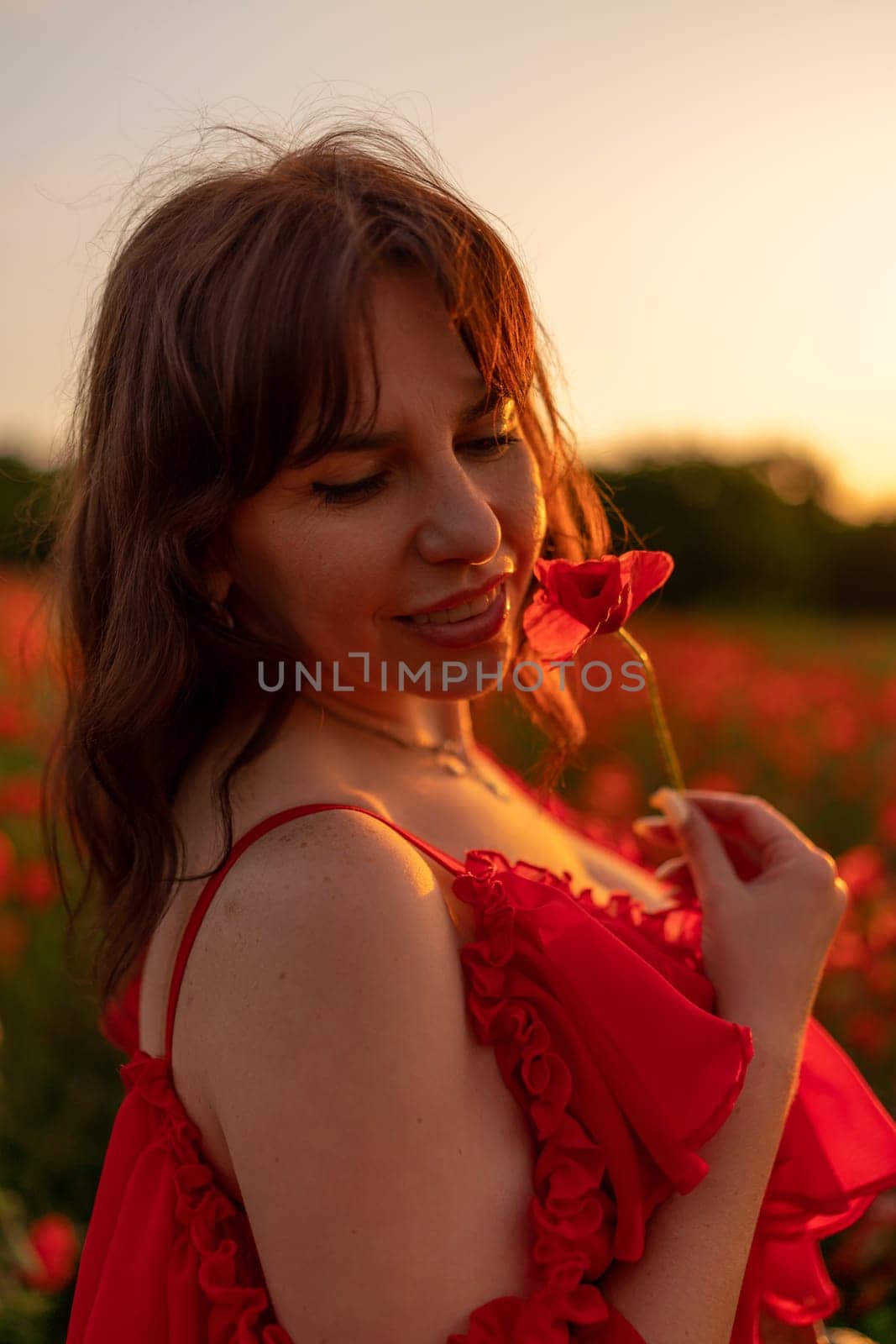 Woman poppy field red dress sunset. Happy woman in a long red dress in a beautiful large poppy field. Blond stands with her back posing on a large field of red poppies.