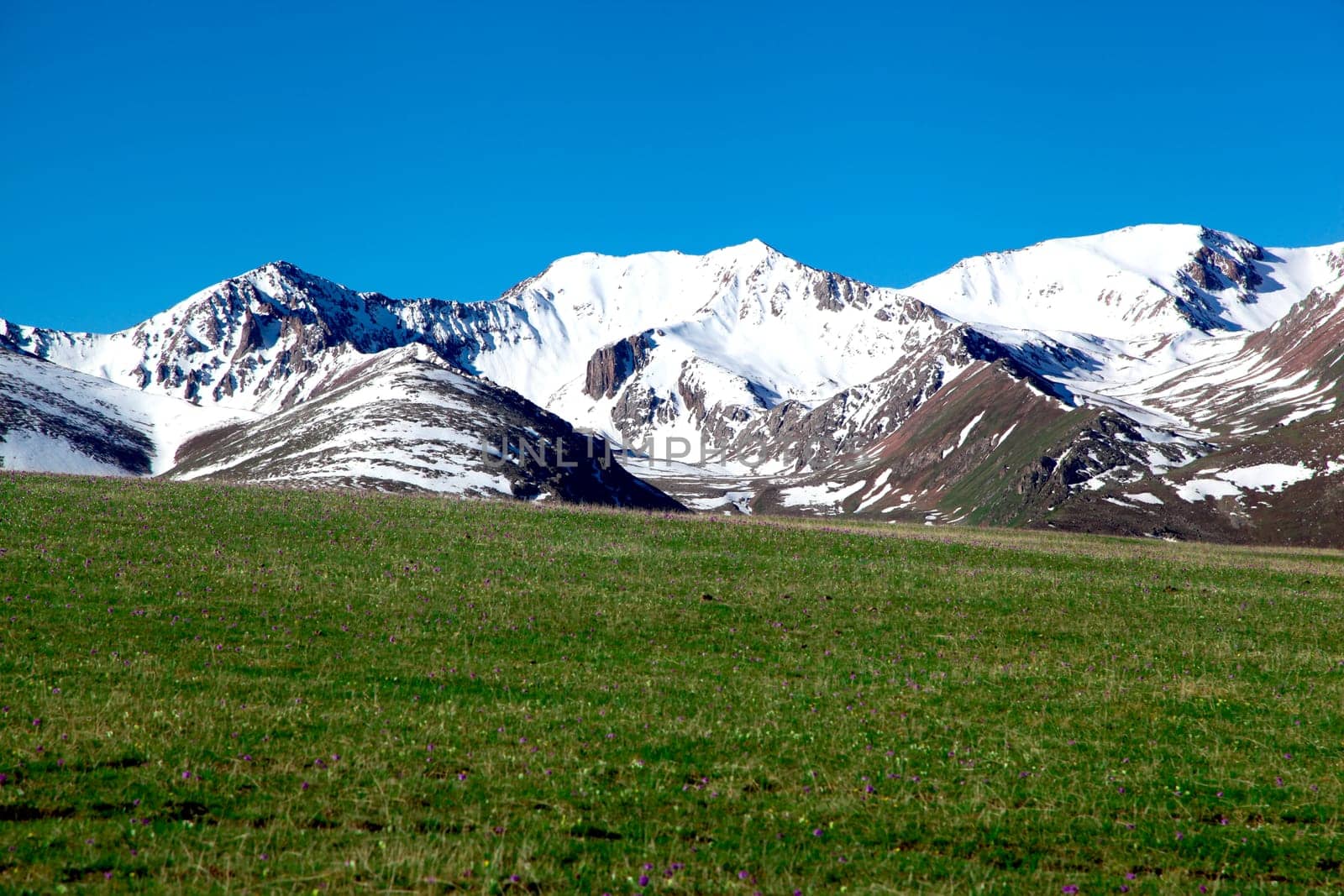 A hiking paradise in Alpine meadow zone in mountains at summer