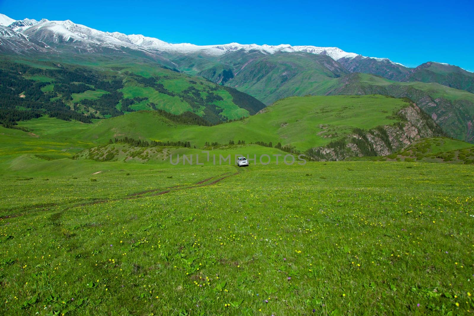 A hiking paradise in Alpine meadow zone in mountains at summer