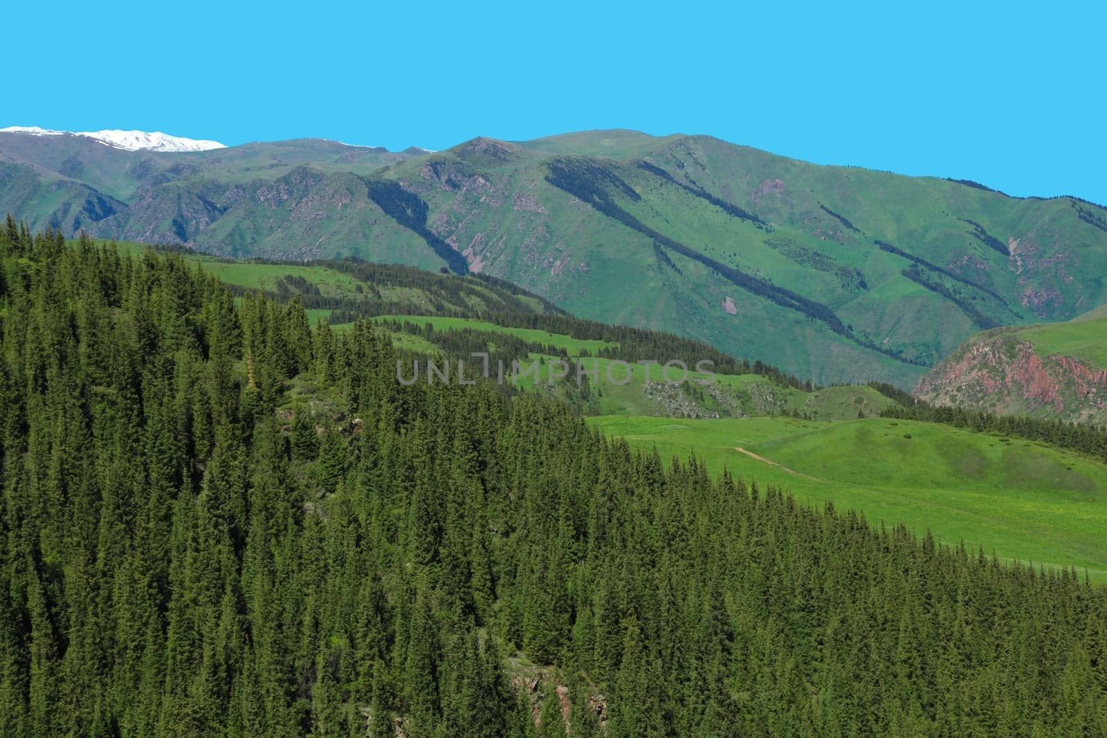 A hiking paradise in Alpine meadow zone in mountains at summer