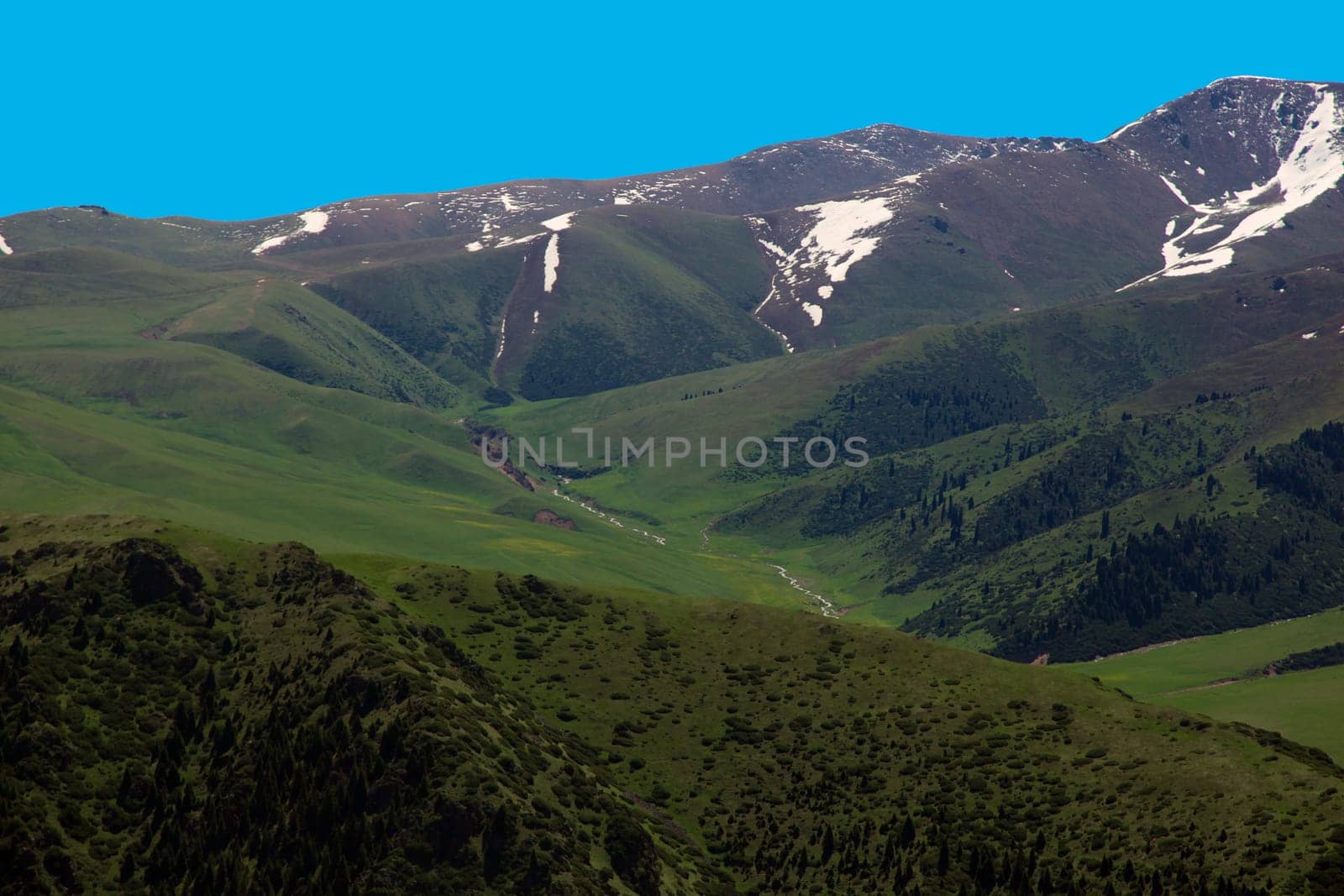 A hiking paradise in Alpine meadow zone in mountains at summer