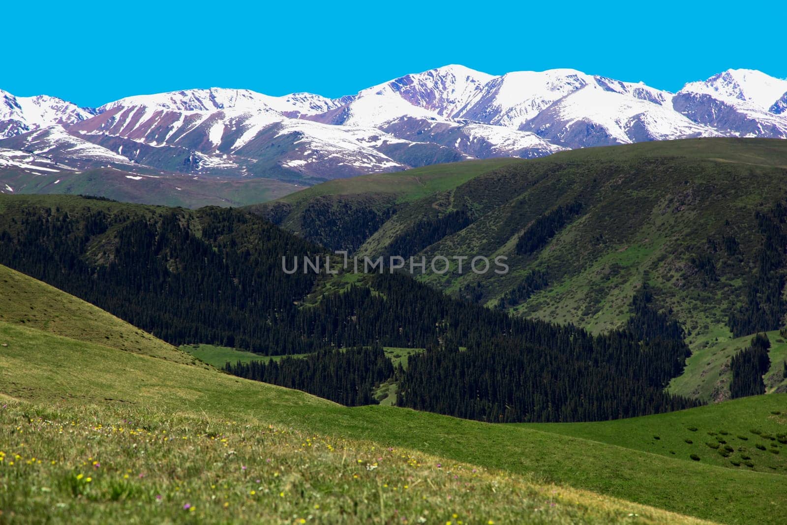 Mountains in early summer by AlexPurple
