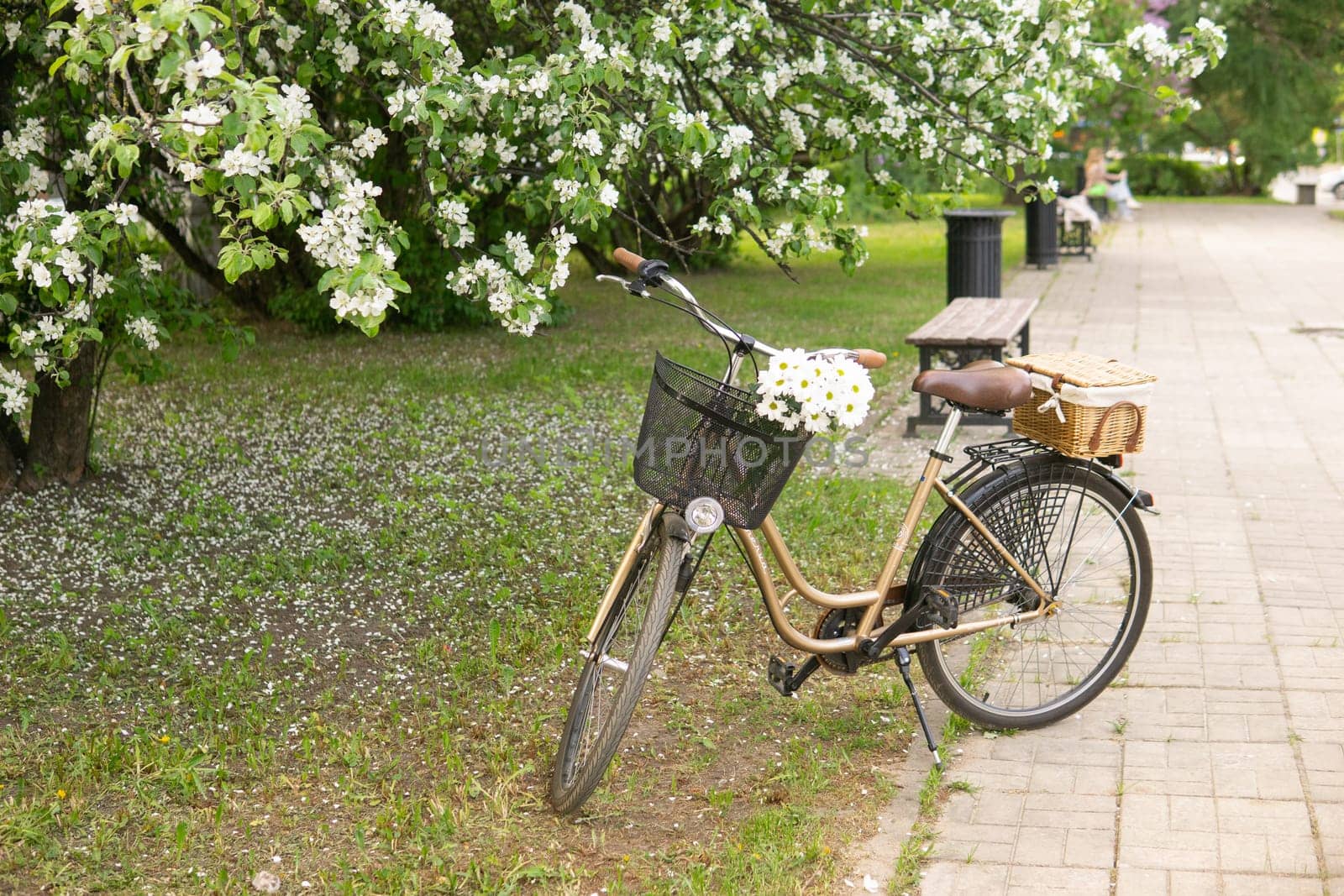 A beautiful retro bike with a wicker basket stands next to a blooming apple tree in the park. by Annu1tochka