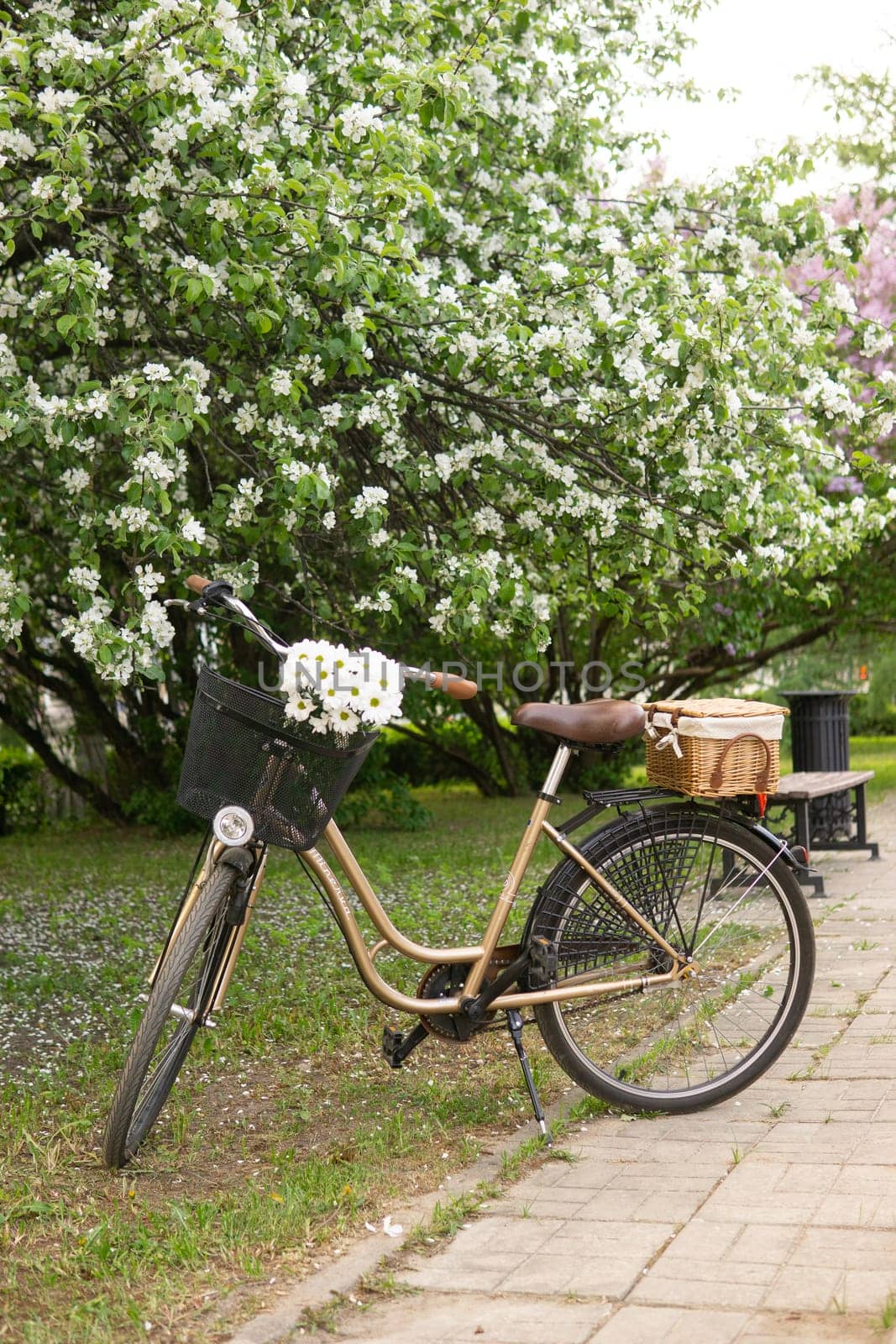 A beautiful retro bike with a wicker basket stands next to a blooming apple tree in the park. by Annu1tochka