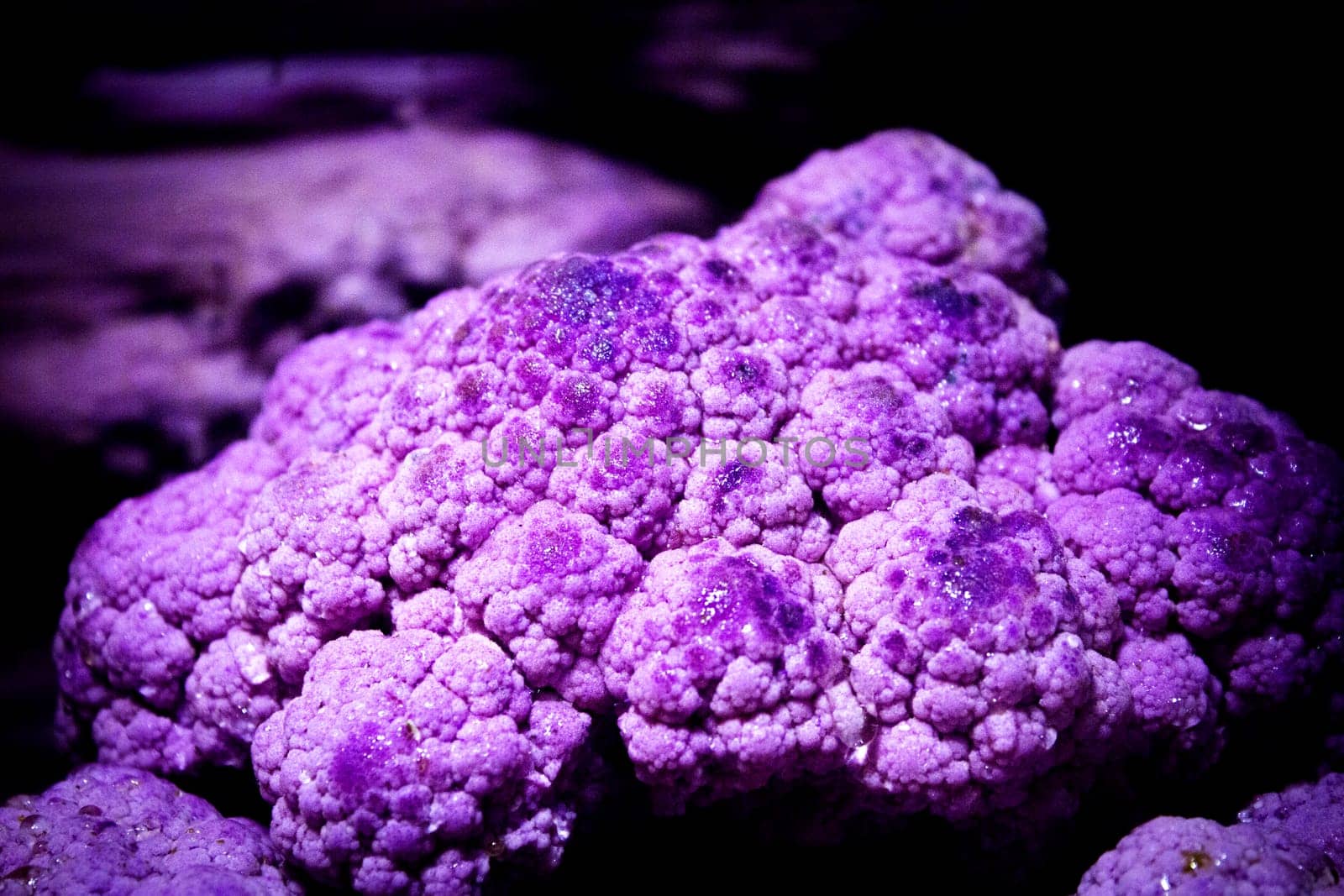Raw purple cauliflower in a saucepan by GemaIbarra