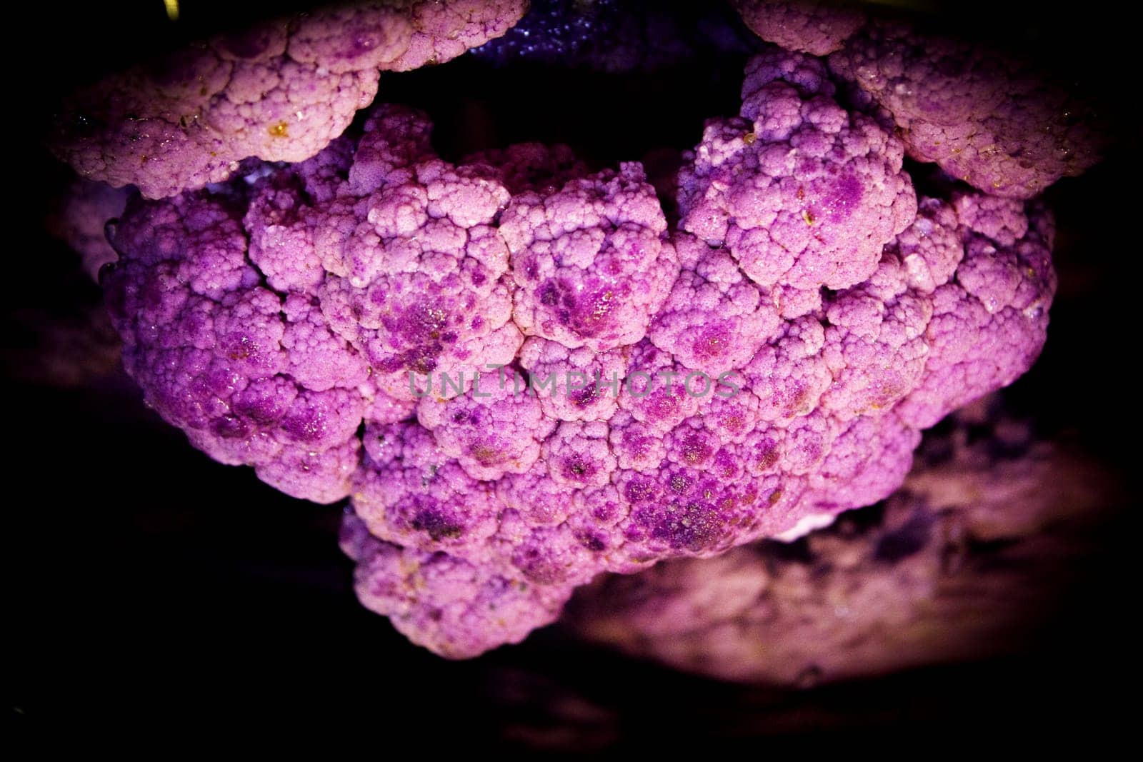 Raw purple cauliflower in a saucepan by GemaIbarra