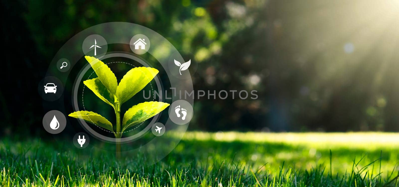 Ecology concept with growing plant on green grass, flying eco icons