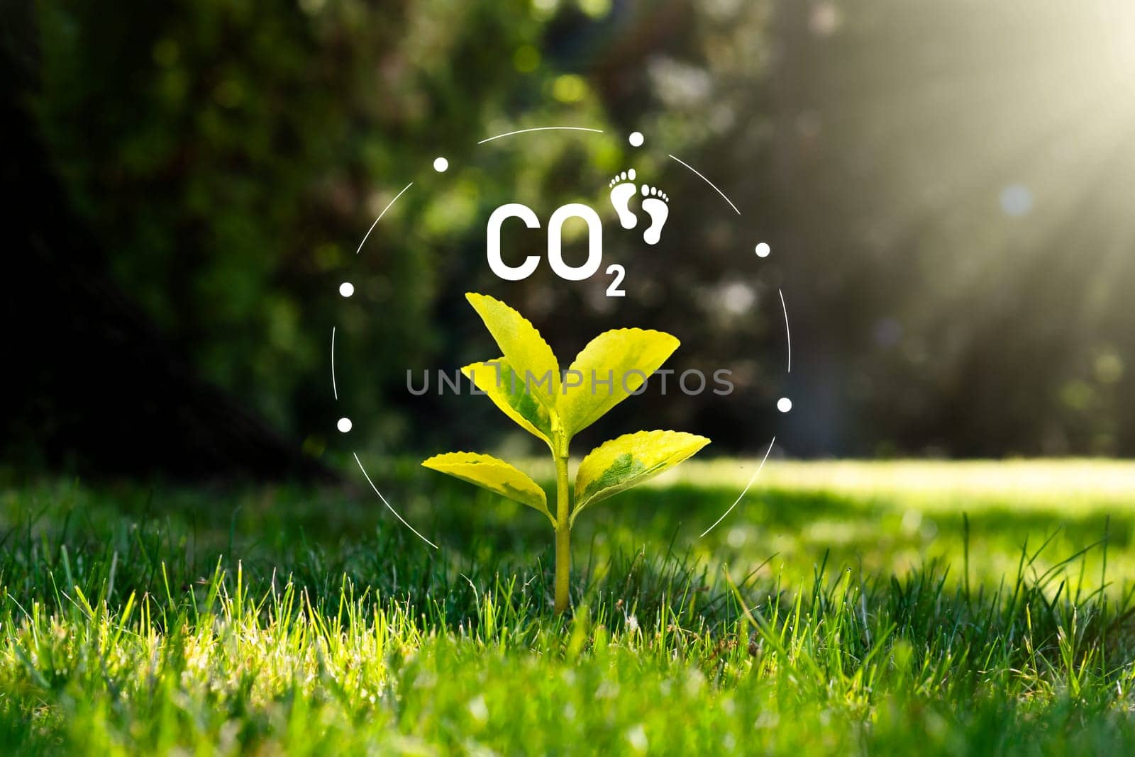 Carbon dioxide emissions, carbon footprint concept by simpson33