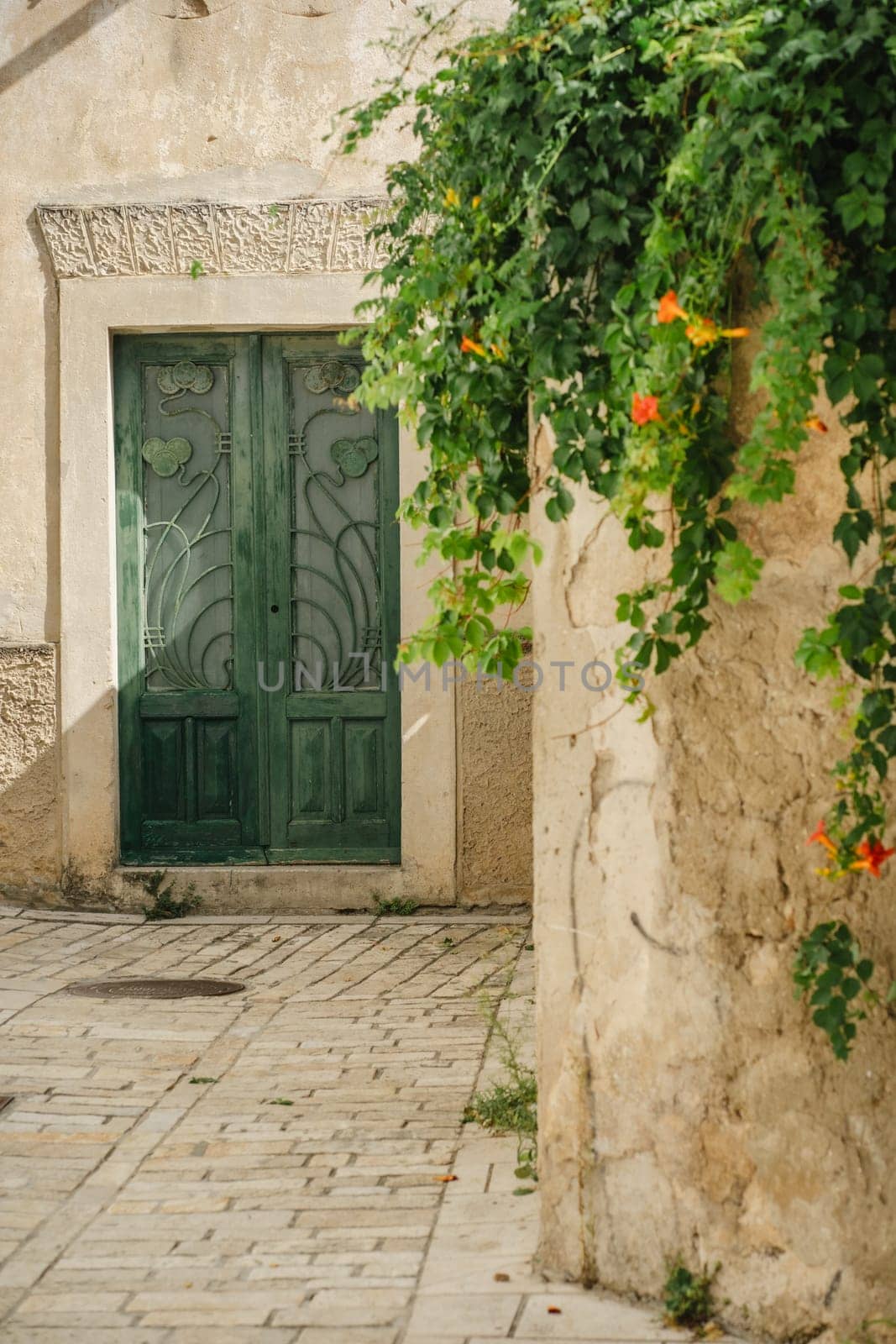 Old stone wall with ivy, gate to house in Old Town of Biograd na Moru in Croatia by Popov