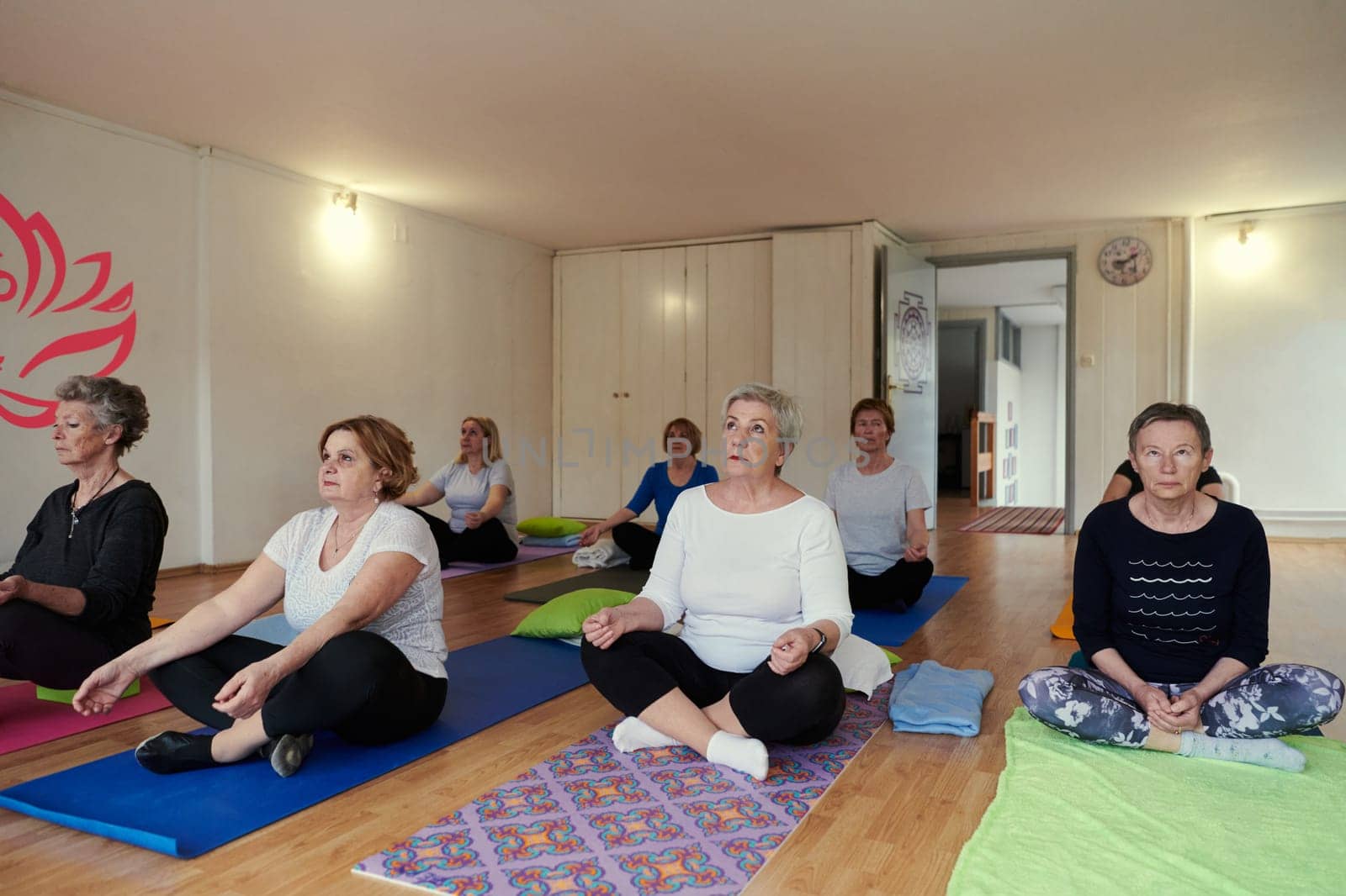 A group of senior women engage in various yoga exercises, including neck, back, and leg stretches, under the guidance of a trainer in a sunlit space, promoting well-being and harmony by dotshock