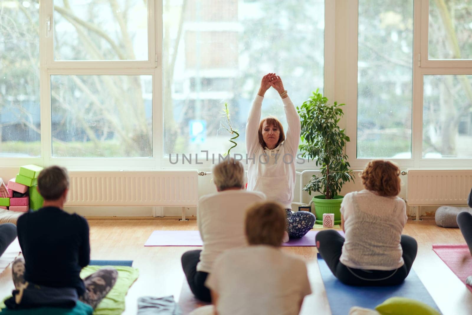 A group of senior women engage in various yoga exercises, including neck, back, and leg stretches, under the guidance of a trainer in a sunlit space, promoting well-being and harmony.