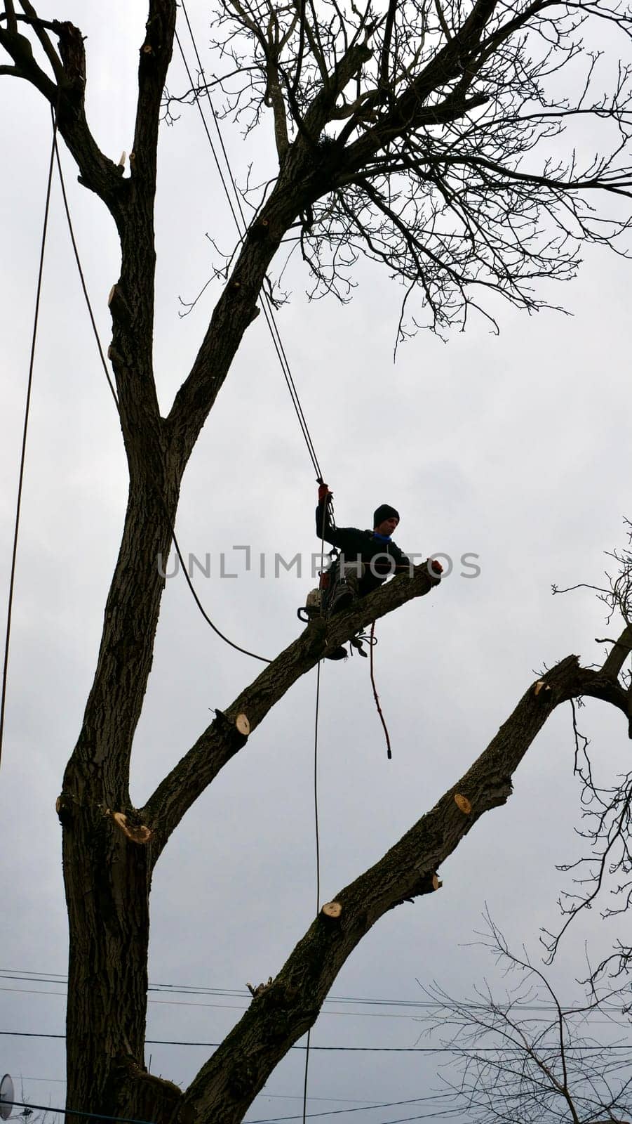 Arborist in Gear Removes Tree Branch with Chainsaw by OksanaFedorchuk